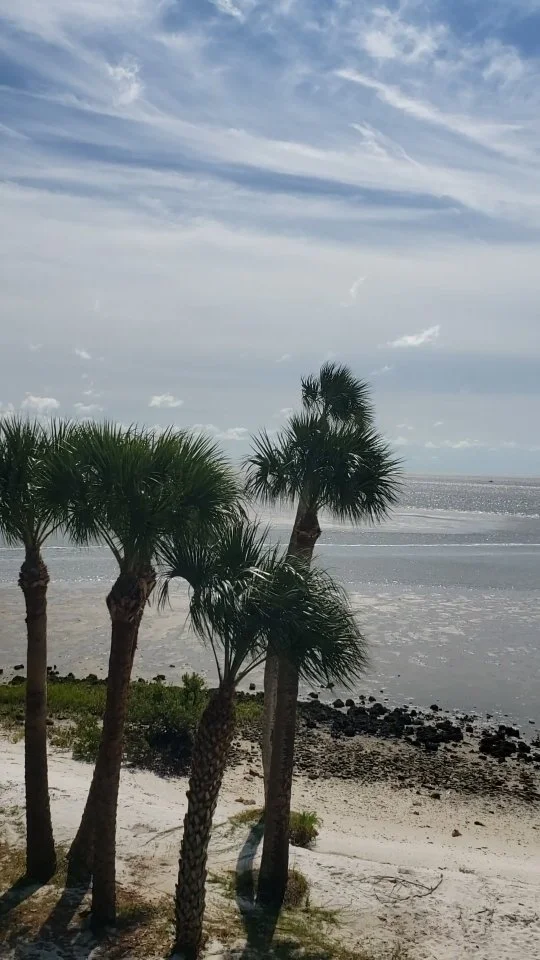 I'm on vacation with my family this week!🌴❤ My current view now,will be going back home tomorrow and will be back to painting. Will miss this paradise until next time😁 I absolutely admire Nature and got lots of inspiration this week, magnificent At