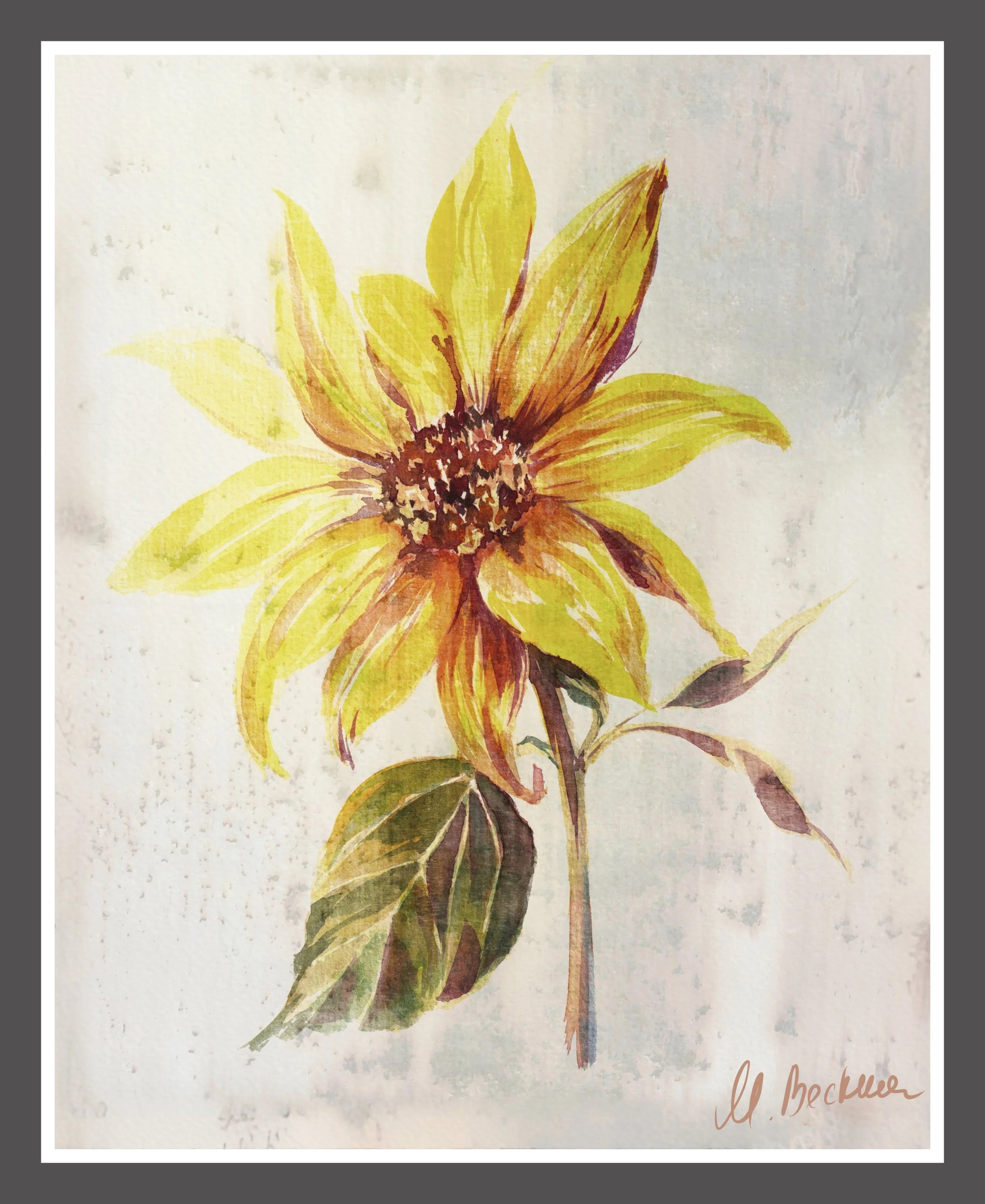 Sunflower w boarder.jpg