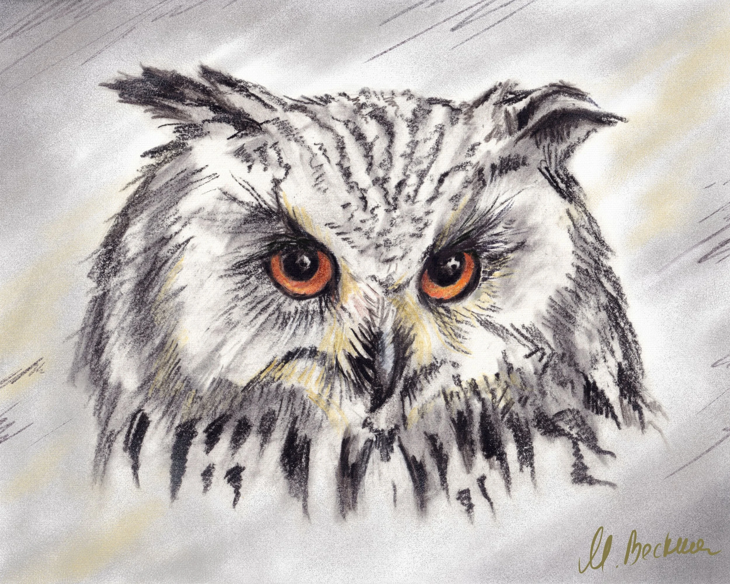 Owl 10x8".jpg