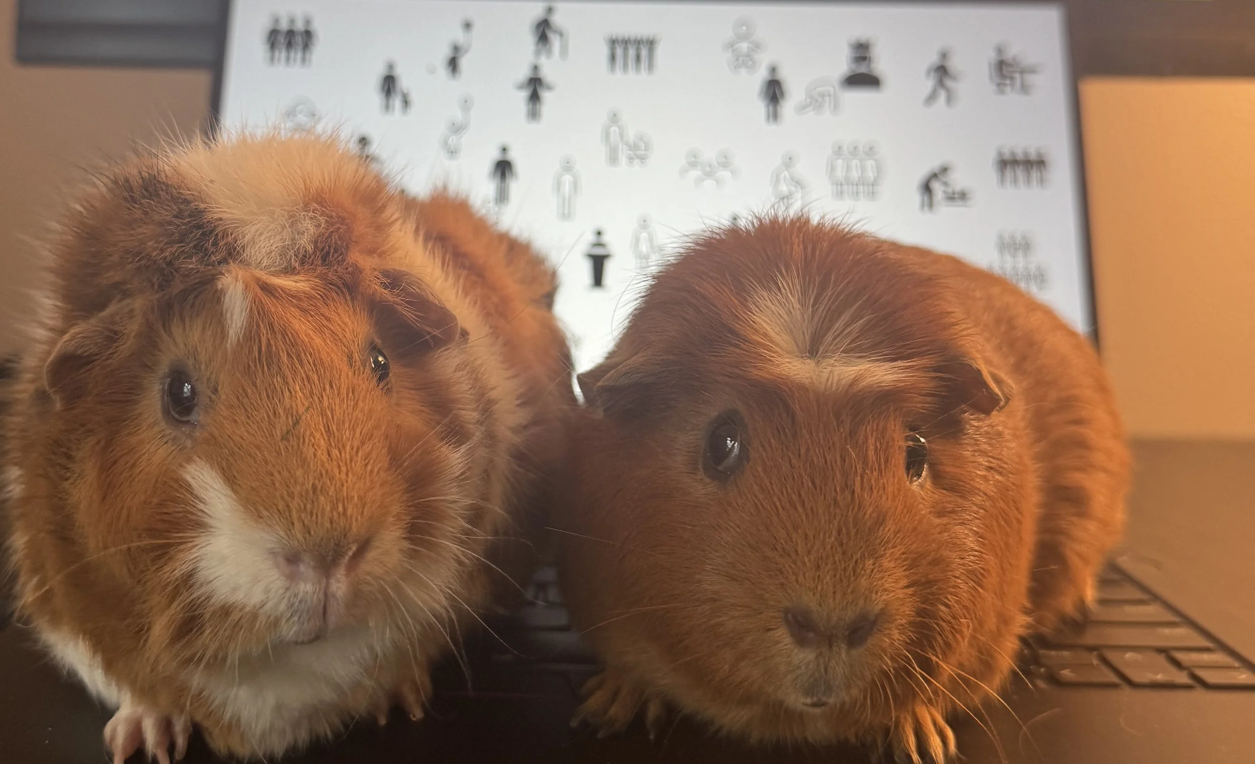 AI Is About to Rewrite Audience Targeting