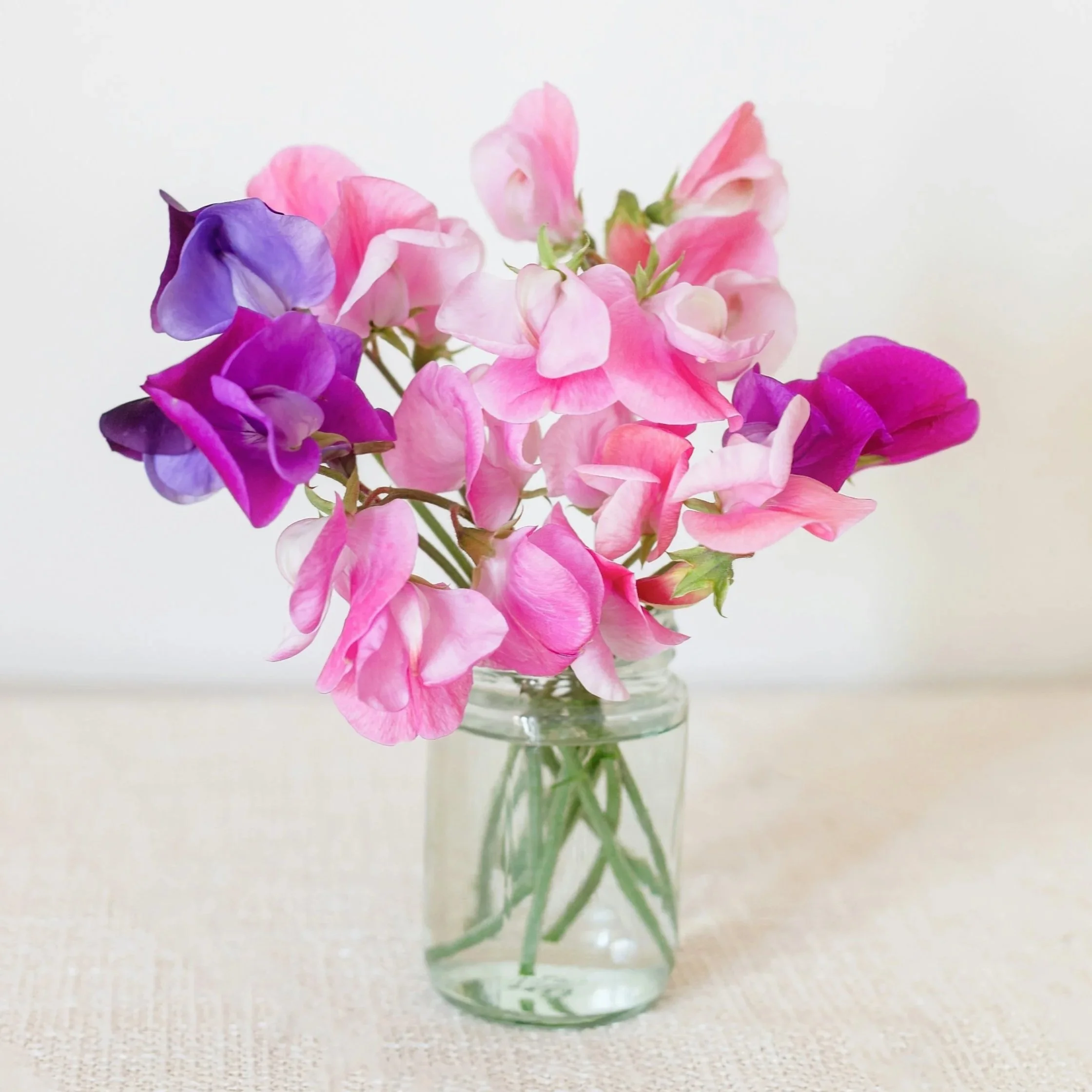 A clear glass mason jar filled with an assortment of pink and purple sweet peas