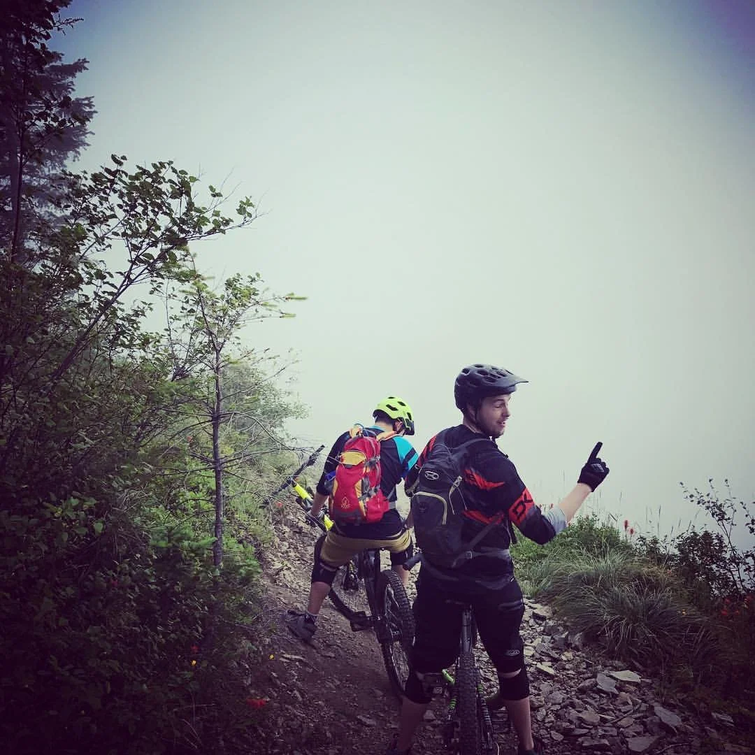 Into the mist.jpg