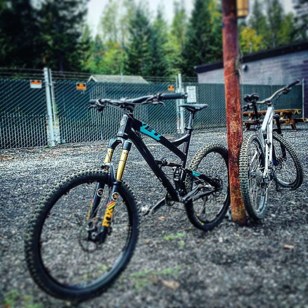 yeti in the wild.jpg