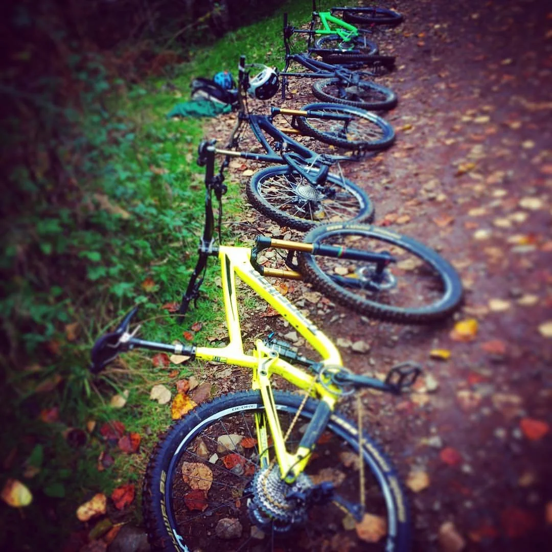 Trailside.jpg