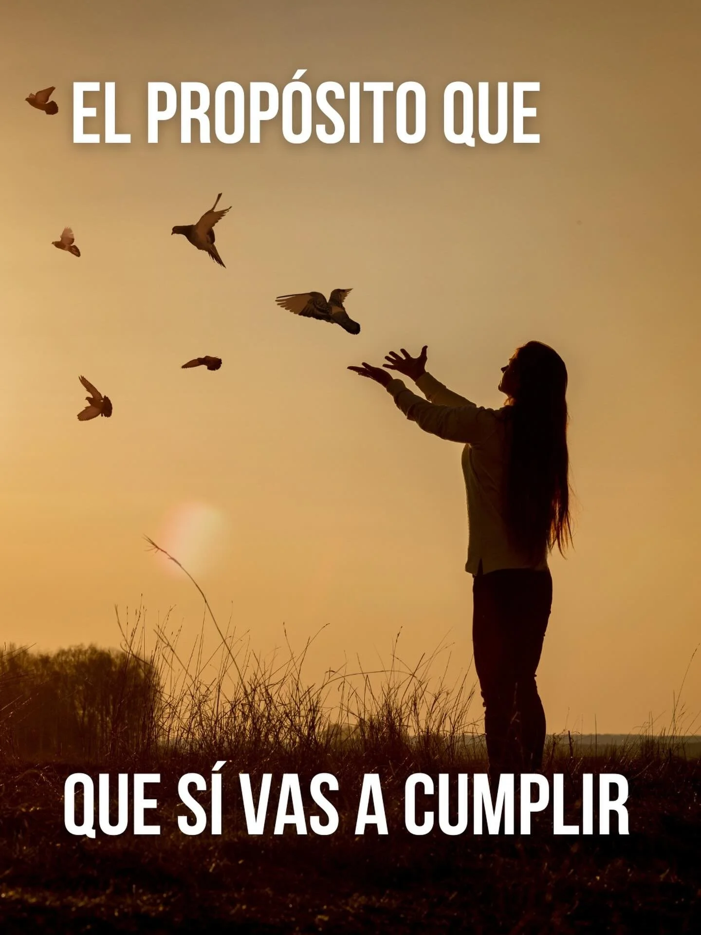El prop&oacute;sito que s&iacute; vas a cumplir en 2026.

No es &ldquo;voy a beber menos&rdquo;.
No es &ldquo;voy a controlarme&rdquo;.
No es &ldquo;solo los fines de semana&rdquo;.

Esos ya los probaste.
Y sabes c&oacute;mo terminaron.

Cada 1 de en