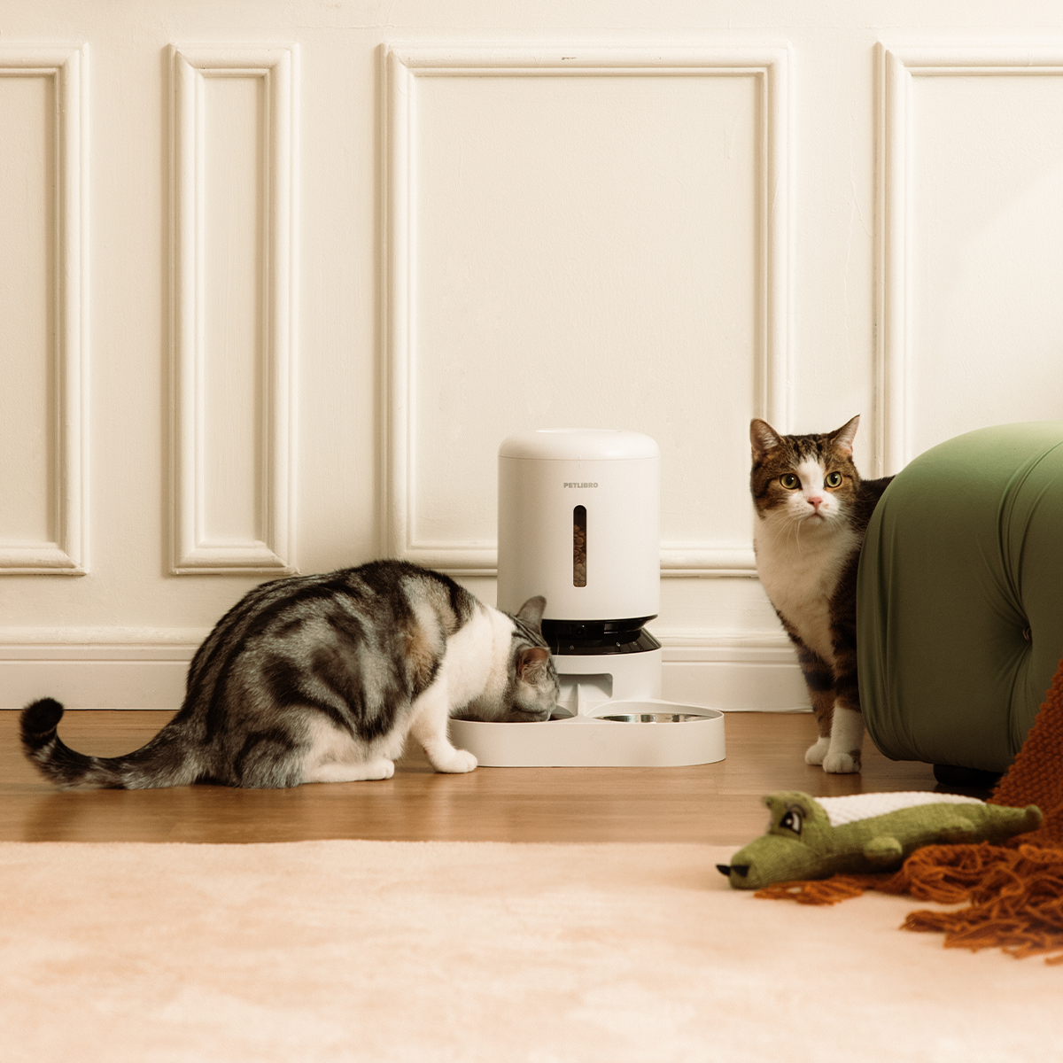 1200 1200 -19(1).png