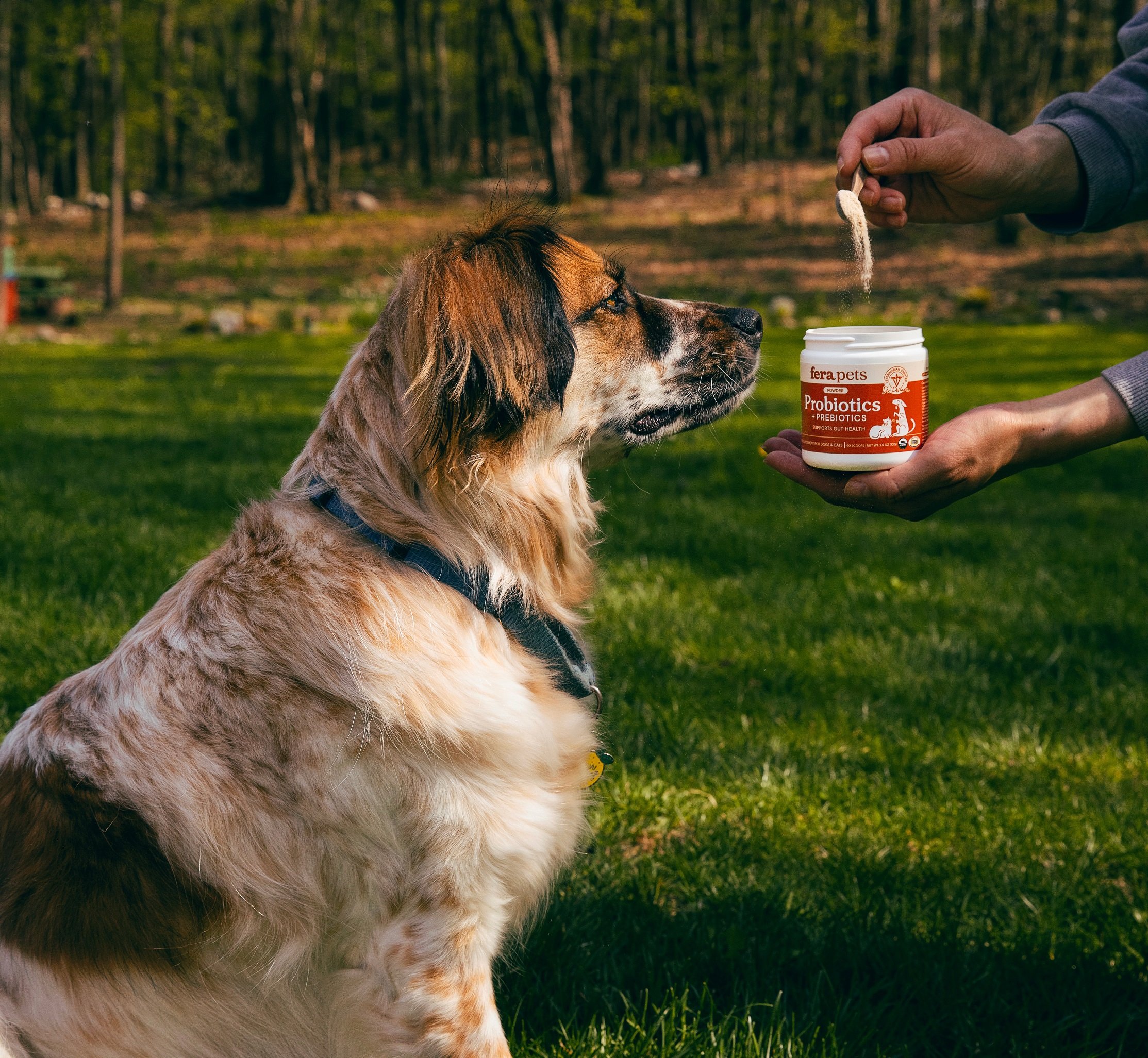 20250429_Fera_Pets_TS_Outdoor_Probiotics_Natto_1353 R.jpg