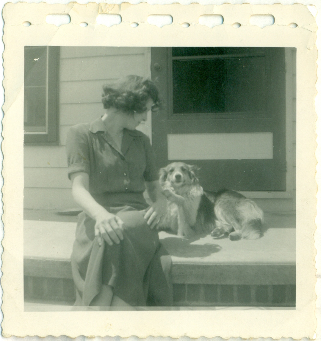 Episode 1: Border Collie Energy