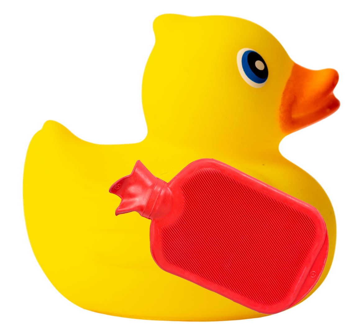 toy rubber duck holds a red heating bag