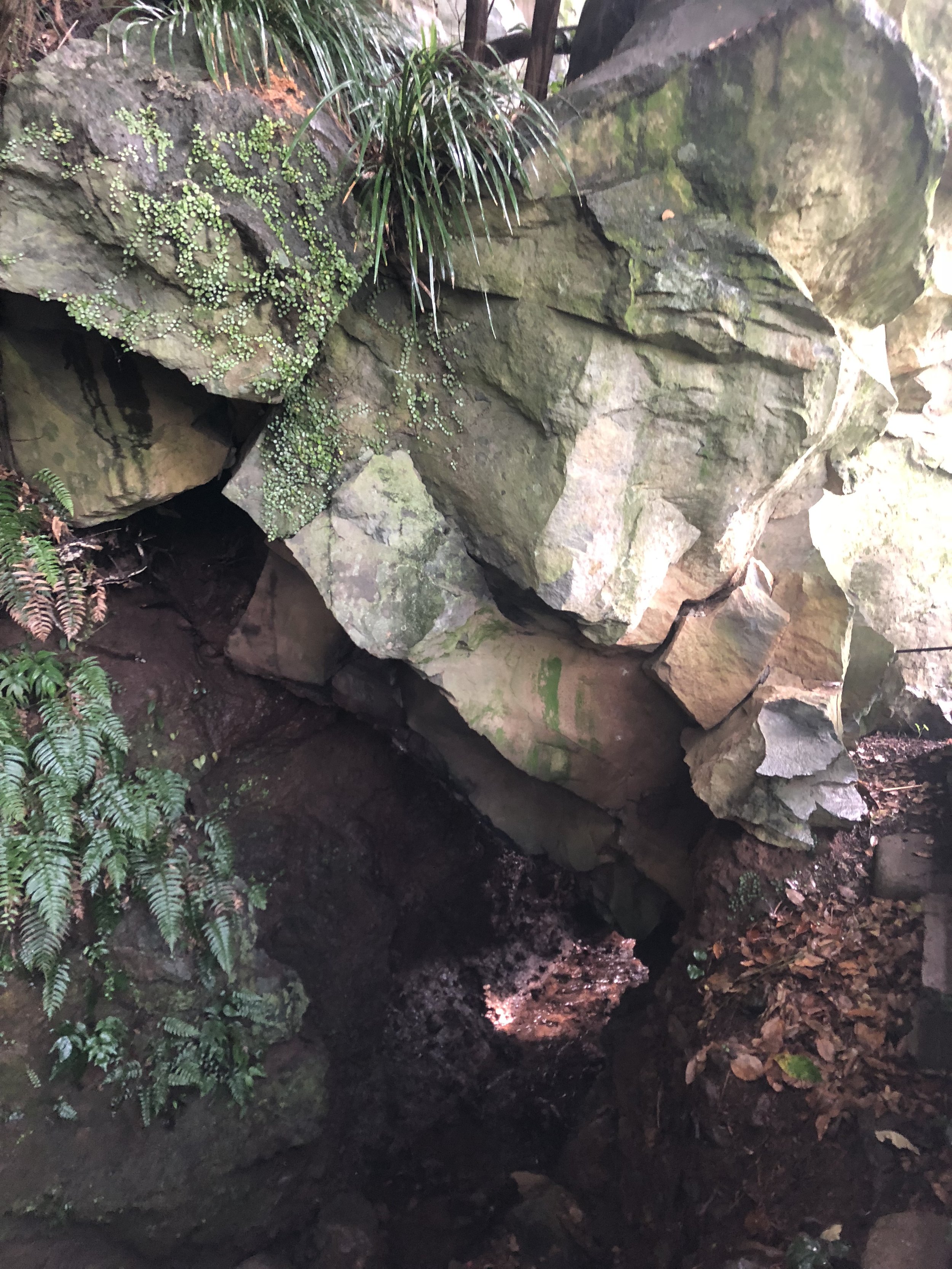 Rocks and Moss.JPG
