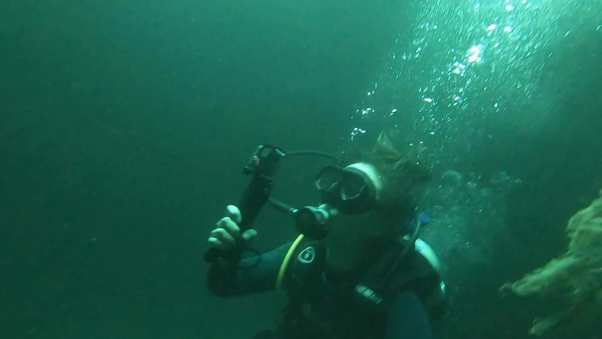 Diving.JPG