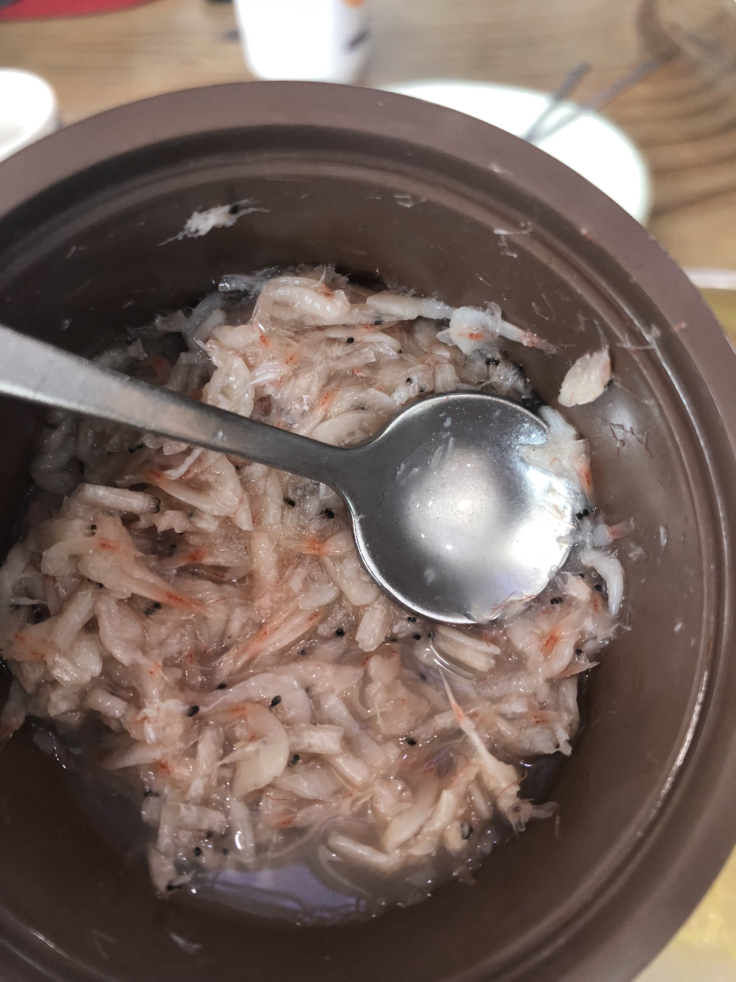 tiny shellfish.JPG