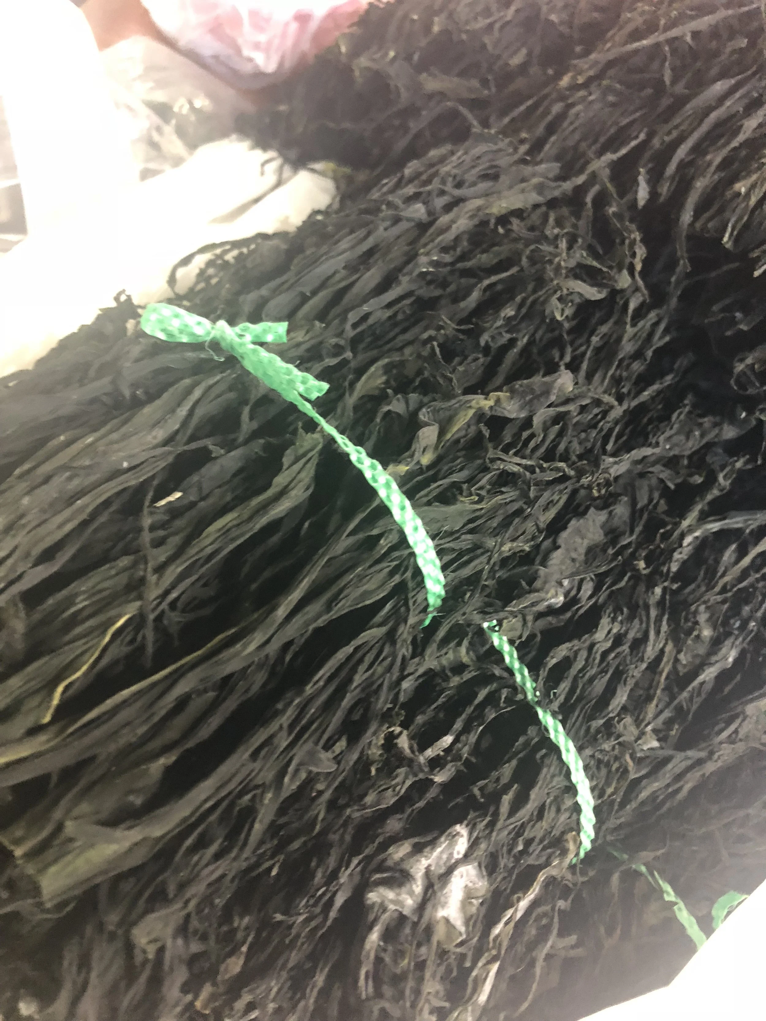 Seaweed at markets.JPG