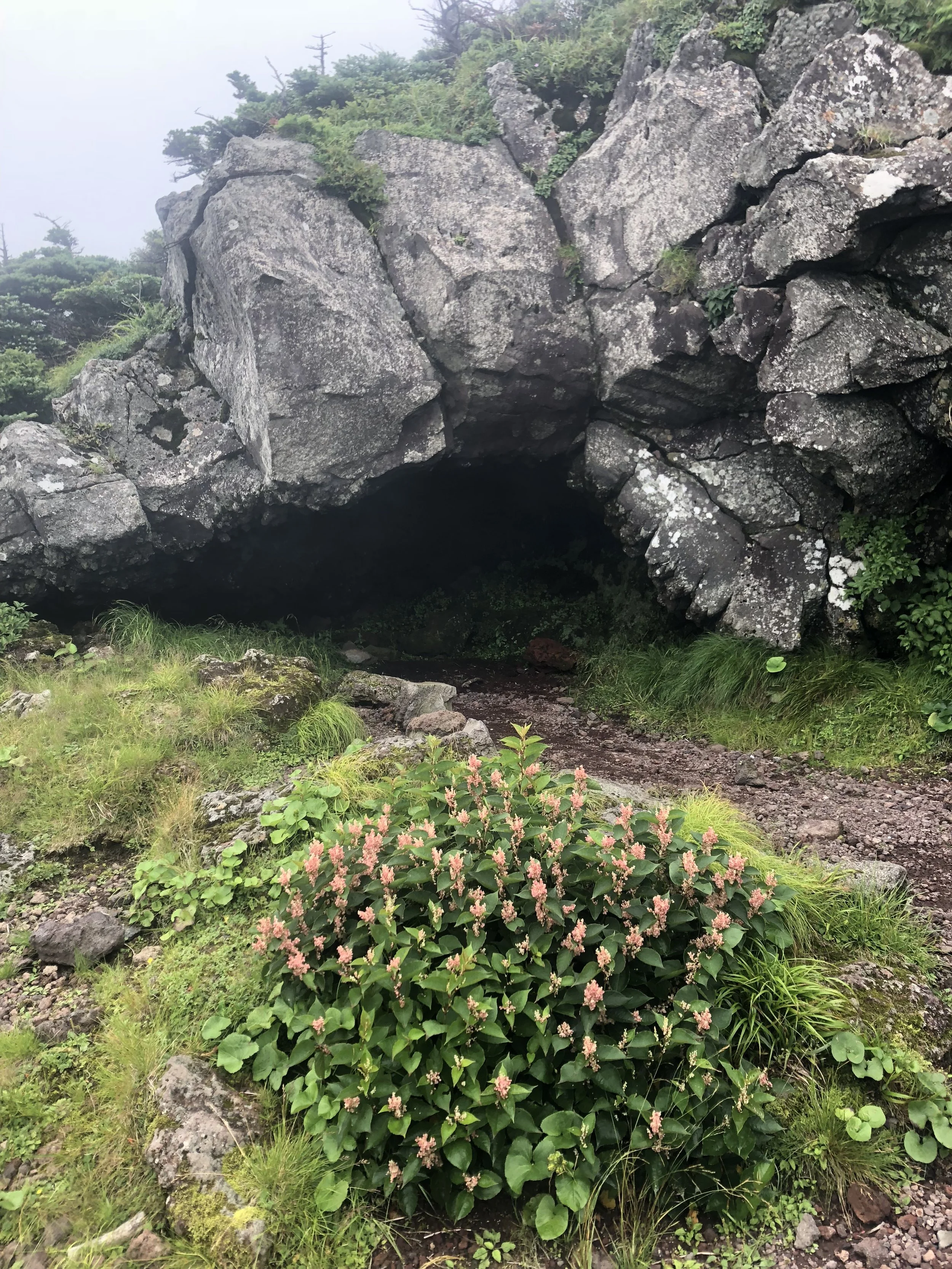 Rocks on trail.JPG