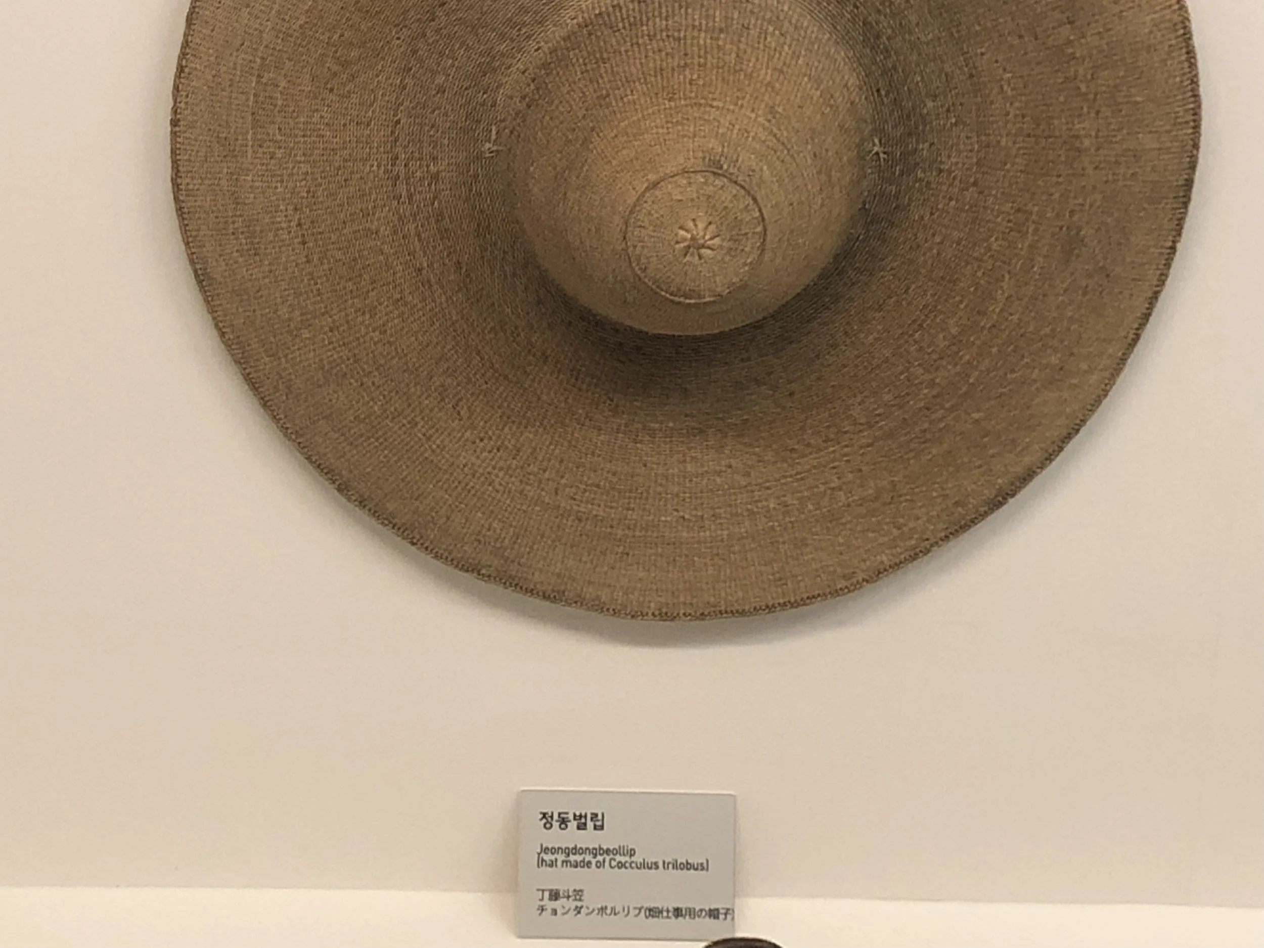 Hats.JPG