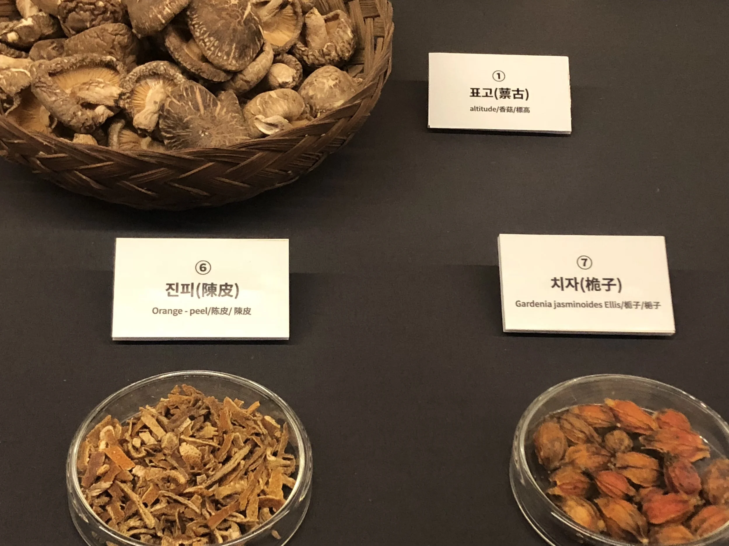 Medicines?.JPG