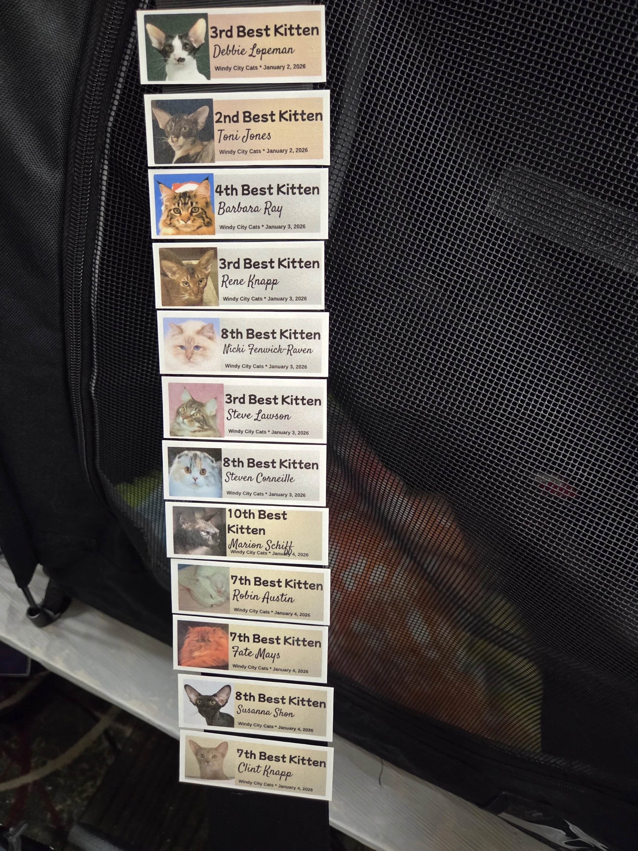 Maybelline's ribbon after the CHicago show :)