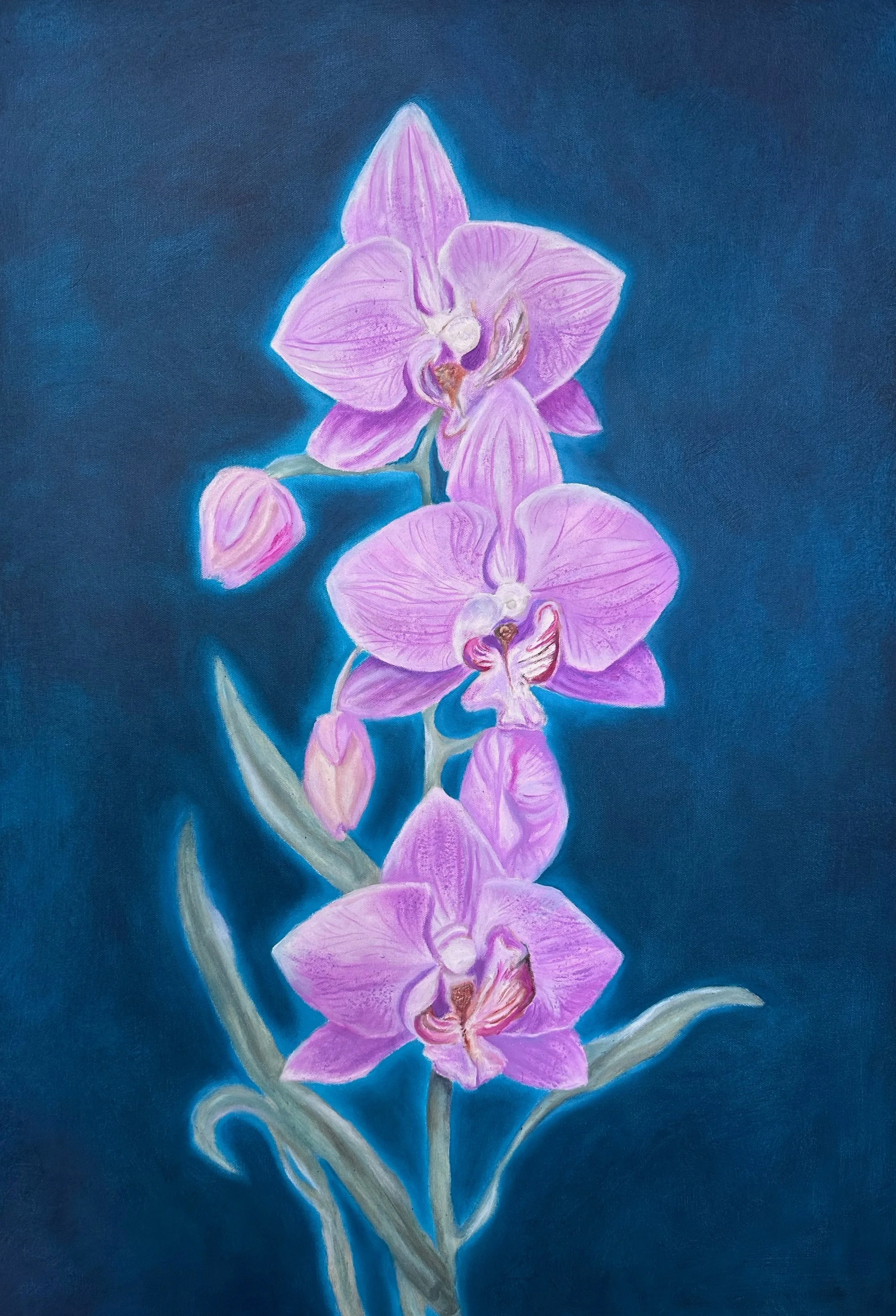 "Julia's Orchids" Oil Paint on Canvas