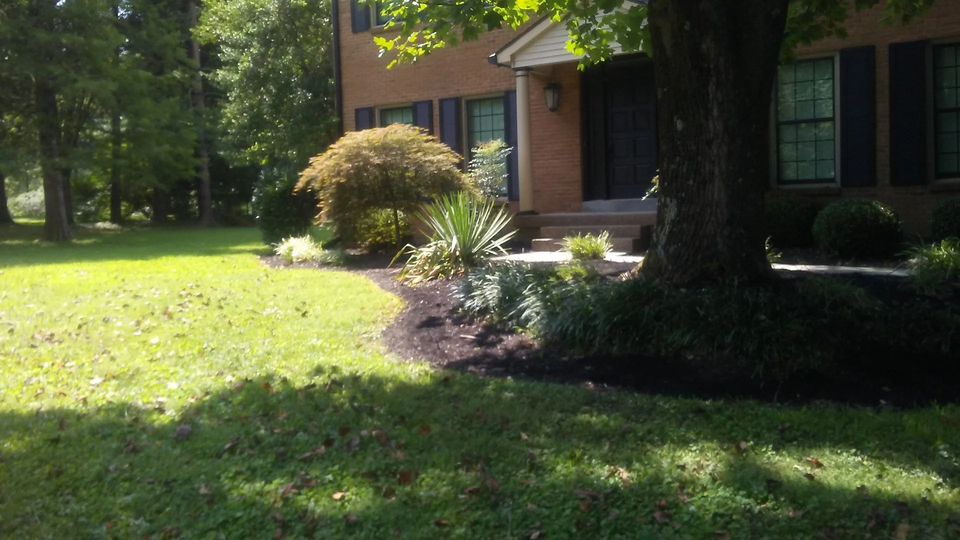 Front yard with green grass, trees, bushes, and a brick house with black shutters and a black front door.