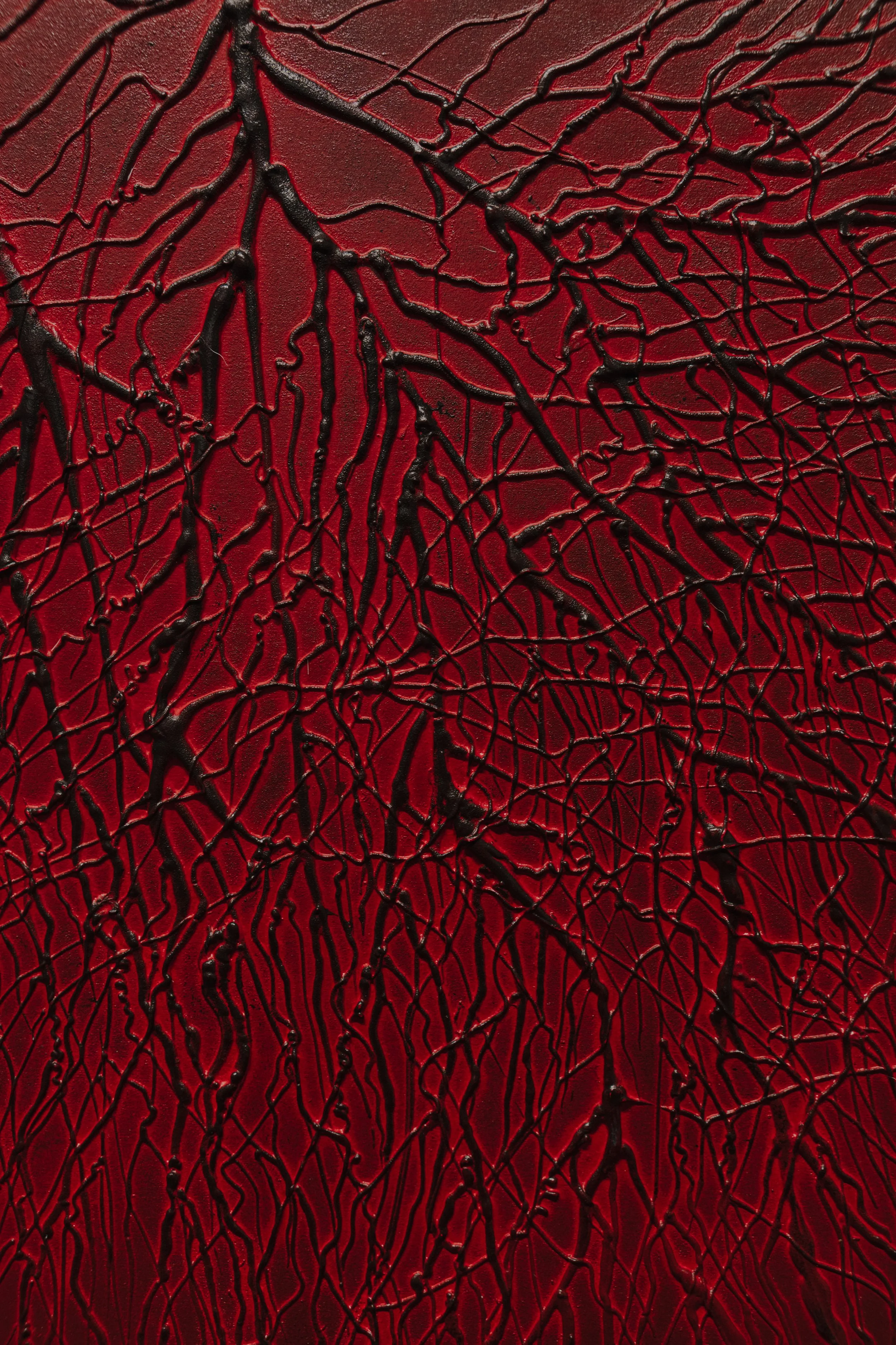 Tany-200.jpg
