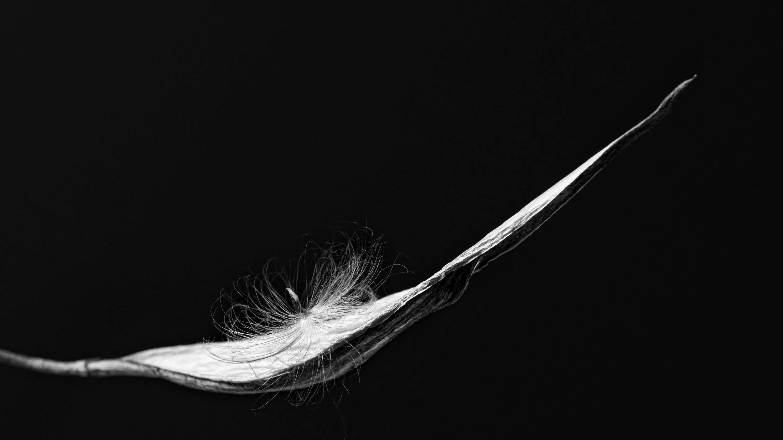 Studio Session-109-Edit.jpg