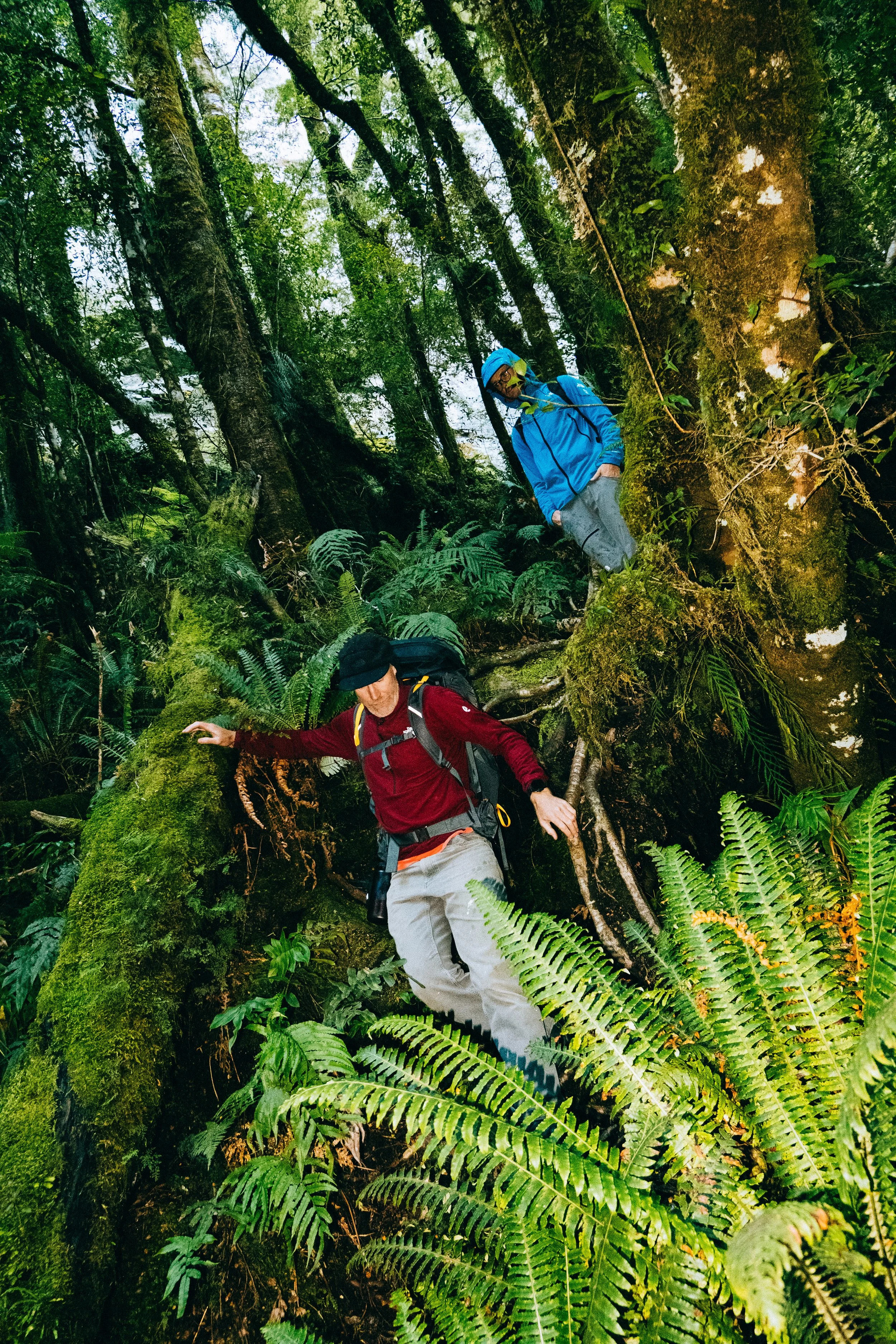 NZMilfordSSWR_26_04_Redpoint_008.JPG