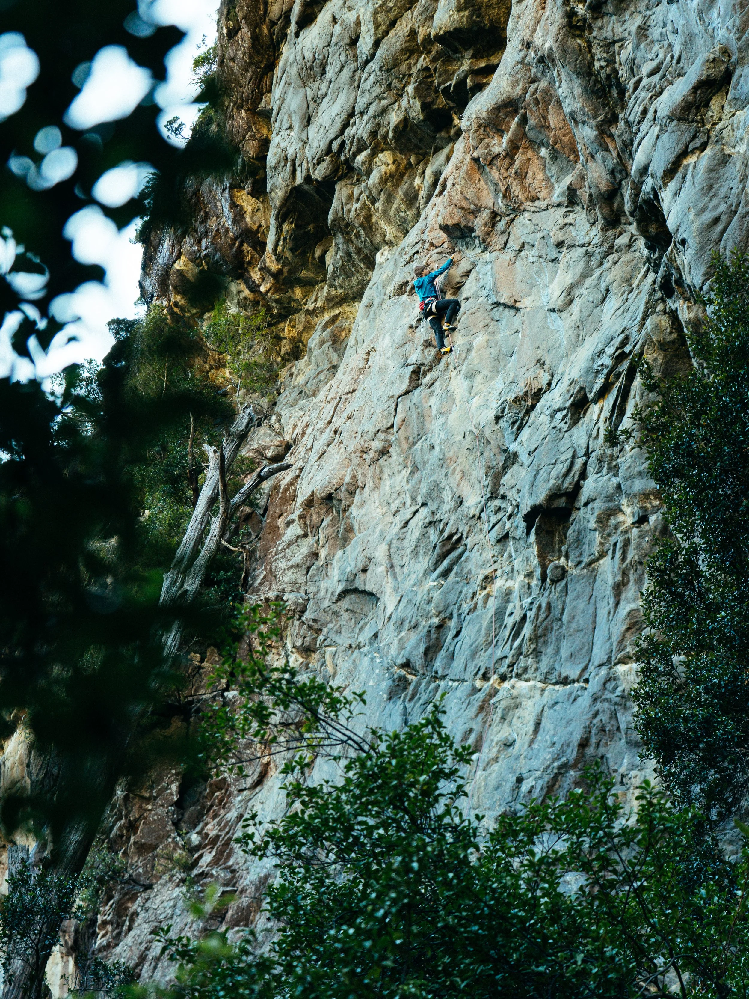 NZMilfordSSWR_26_04_Redpoint_019.JPG
