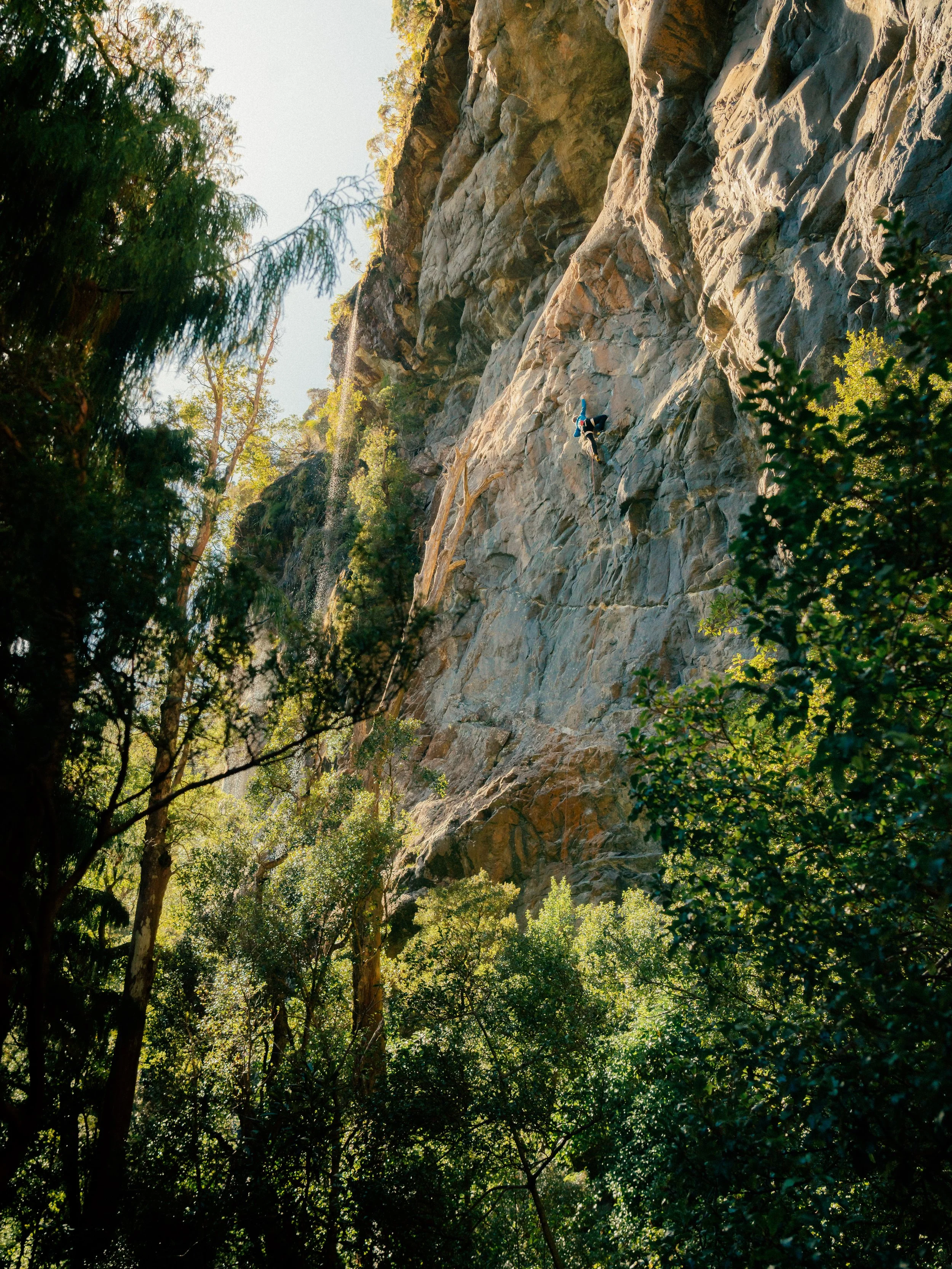 NZMilfordSSWR_26_04_Redpoint_020.JPG