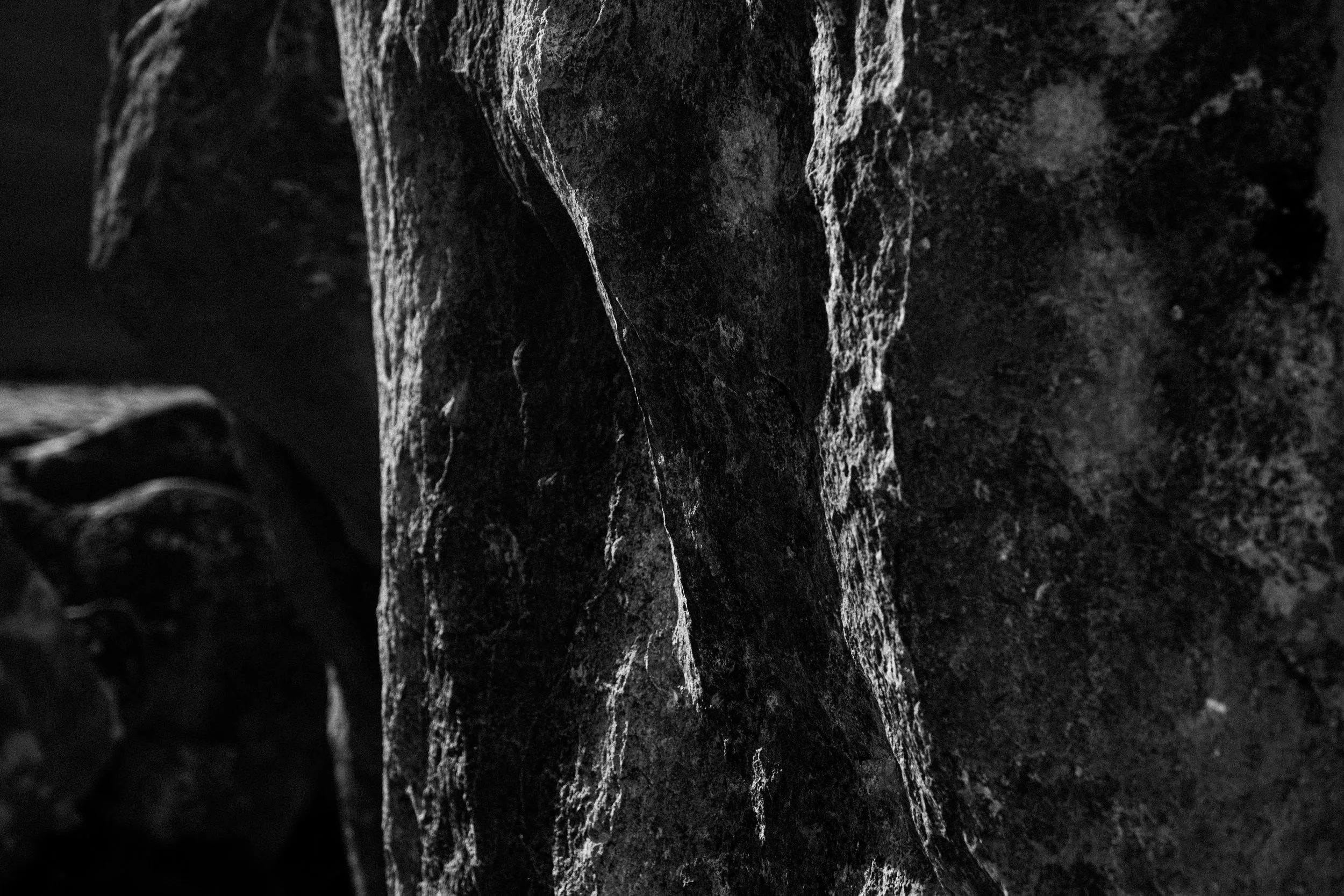 REDPOINT_Castle Hill_019.JPG