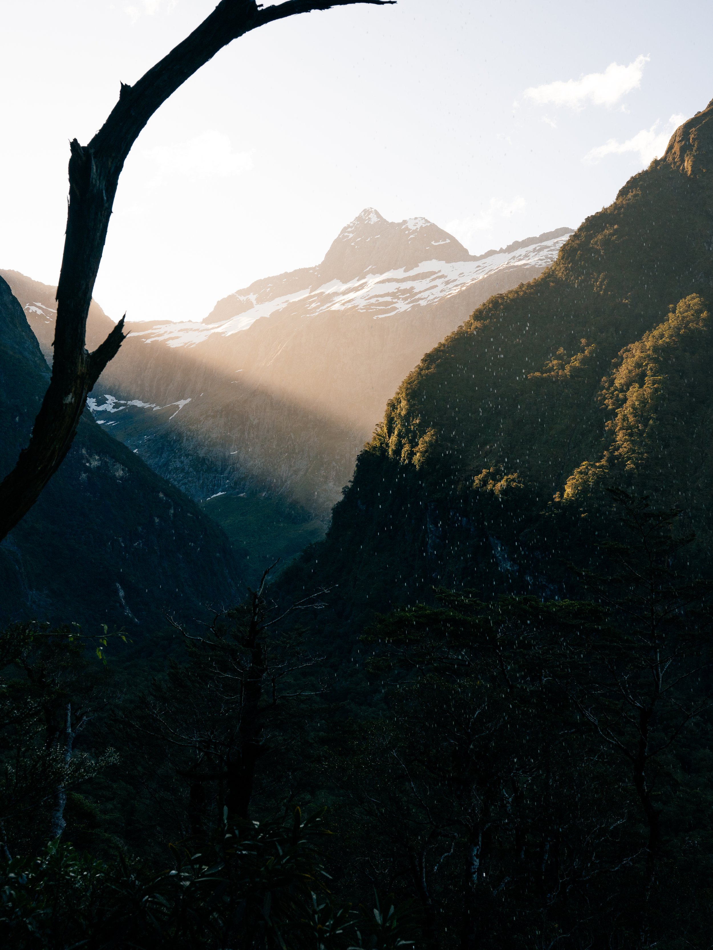 NZMilfordSSWR_25_12_Redpoint_001.JPG