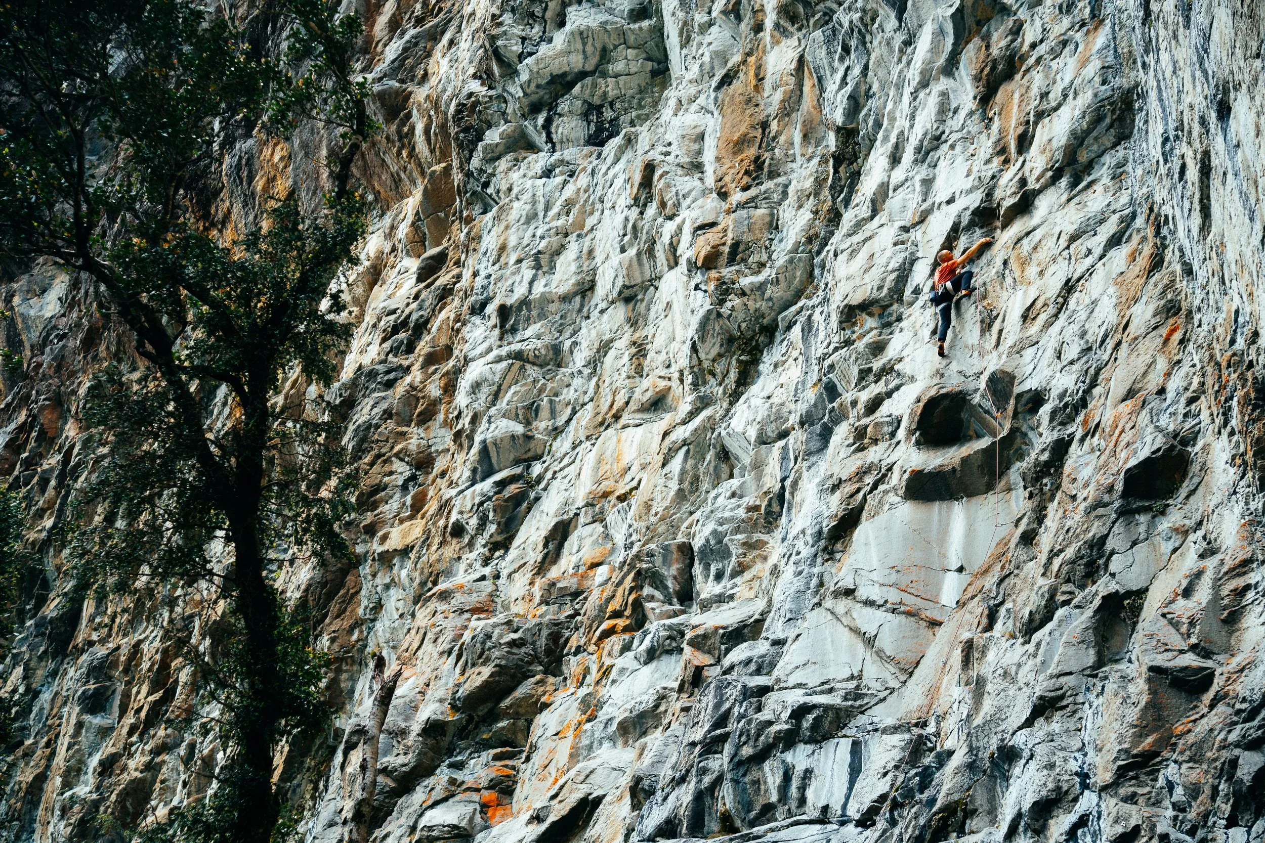 NZMilfordSSWR_25_12_Redpoint_008.JPG