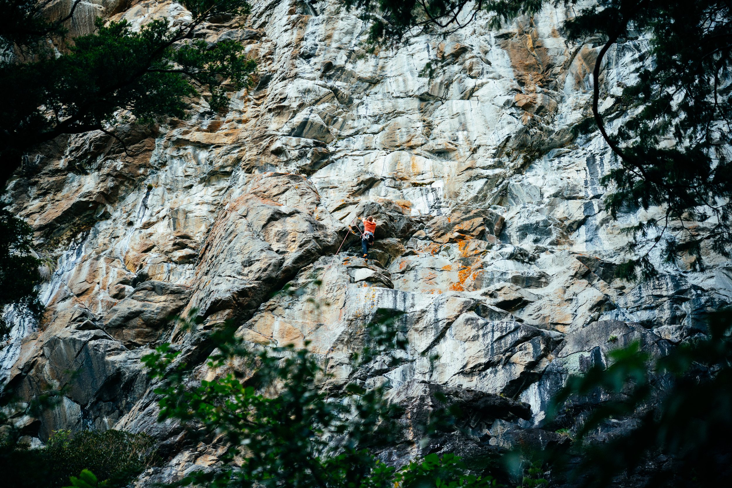 NZMilfordSSWR_25_12_Redpoint_004.JPG