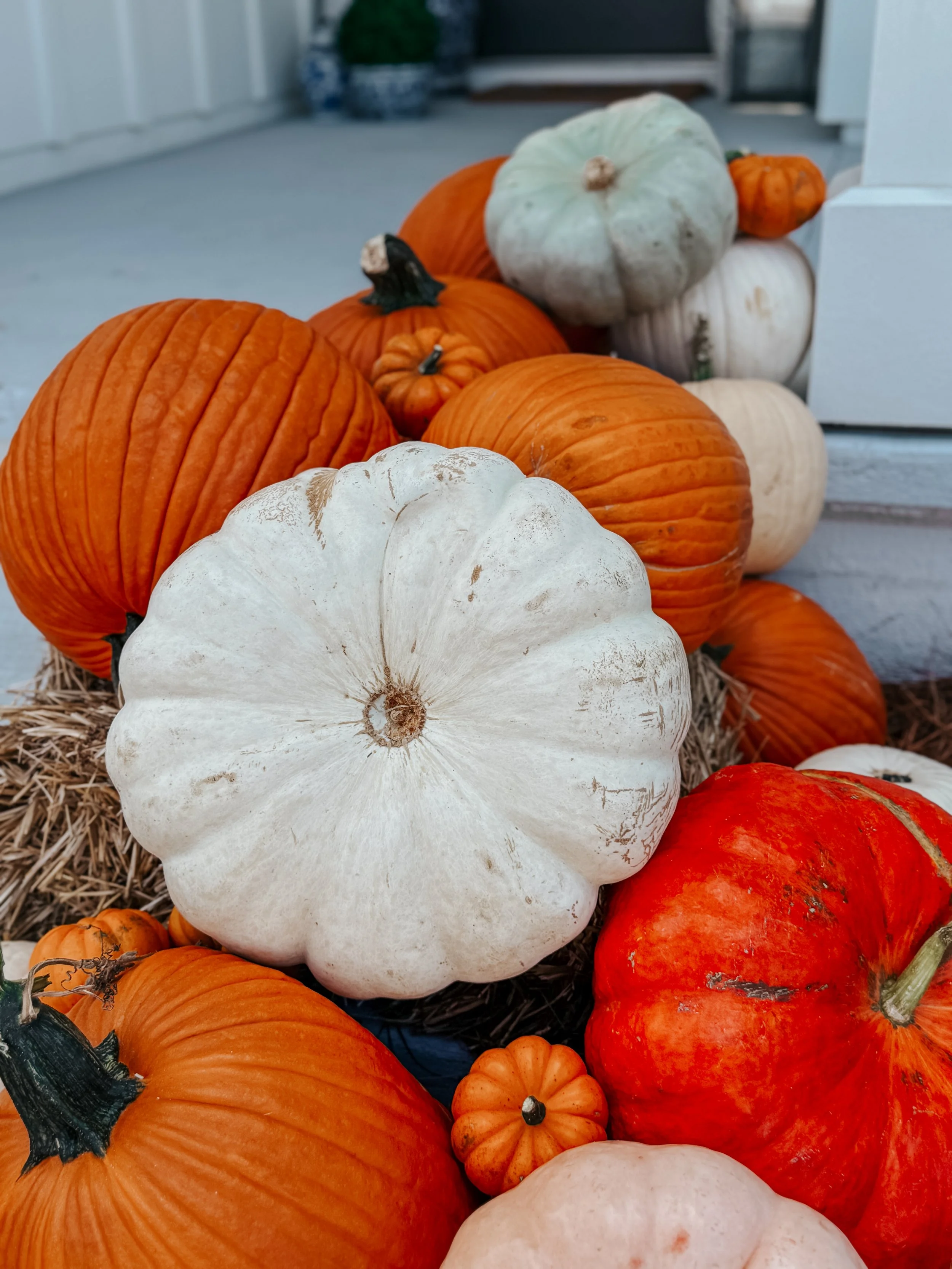 HPC Porch Pumpkins 2026 Season-10.jpg