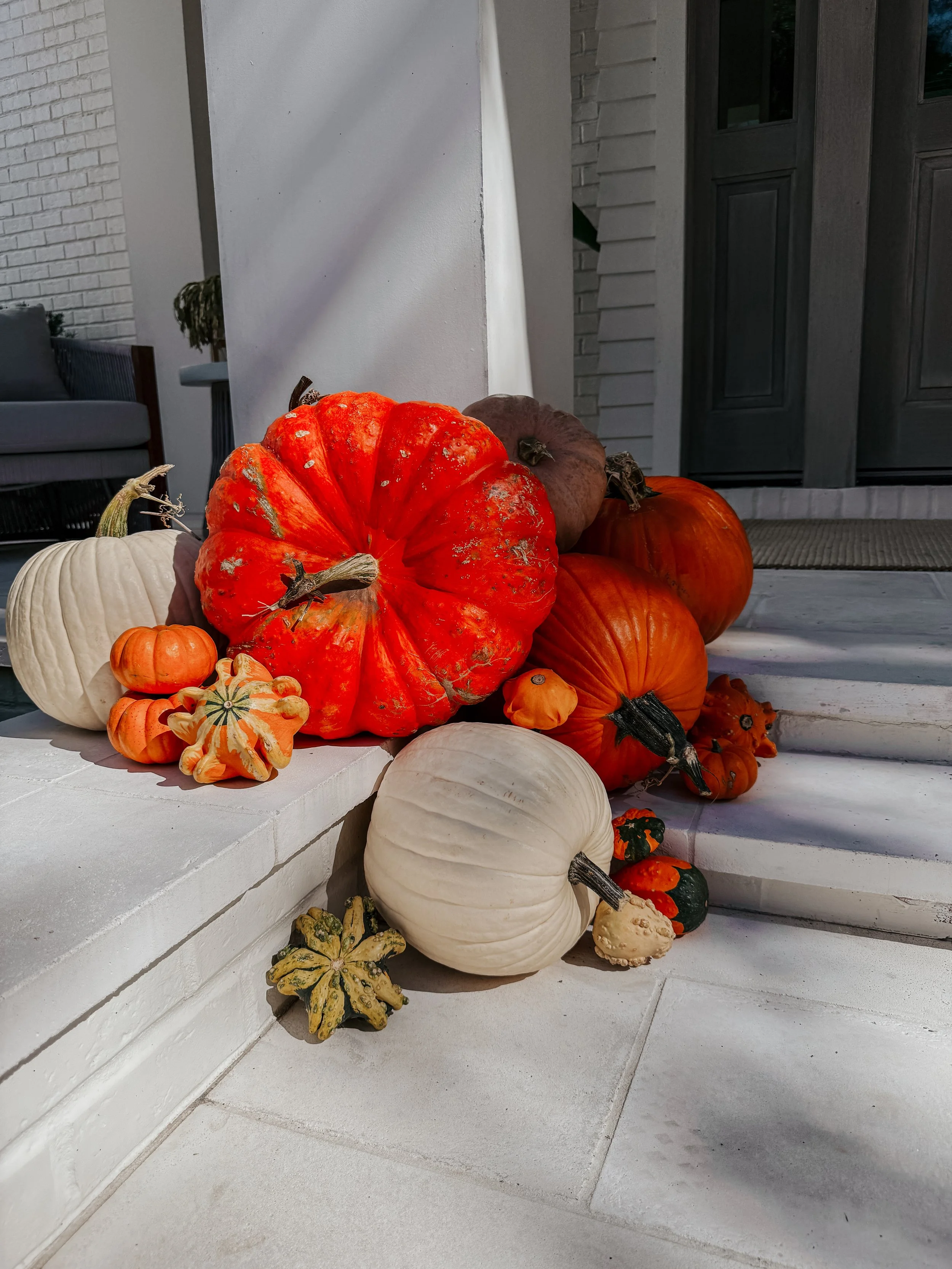 HPC Porch Pumpkins 2026 Season-58.jpg