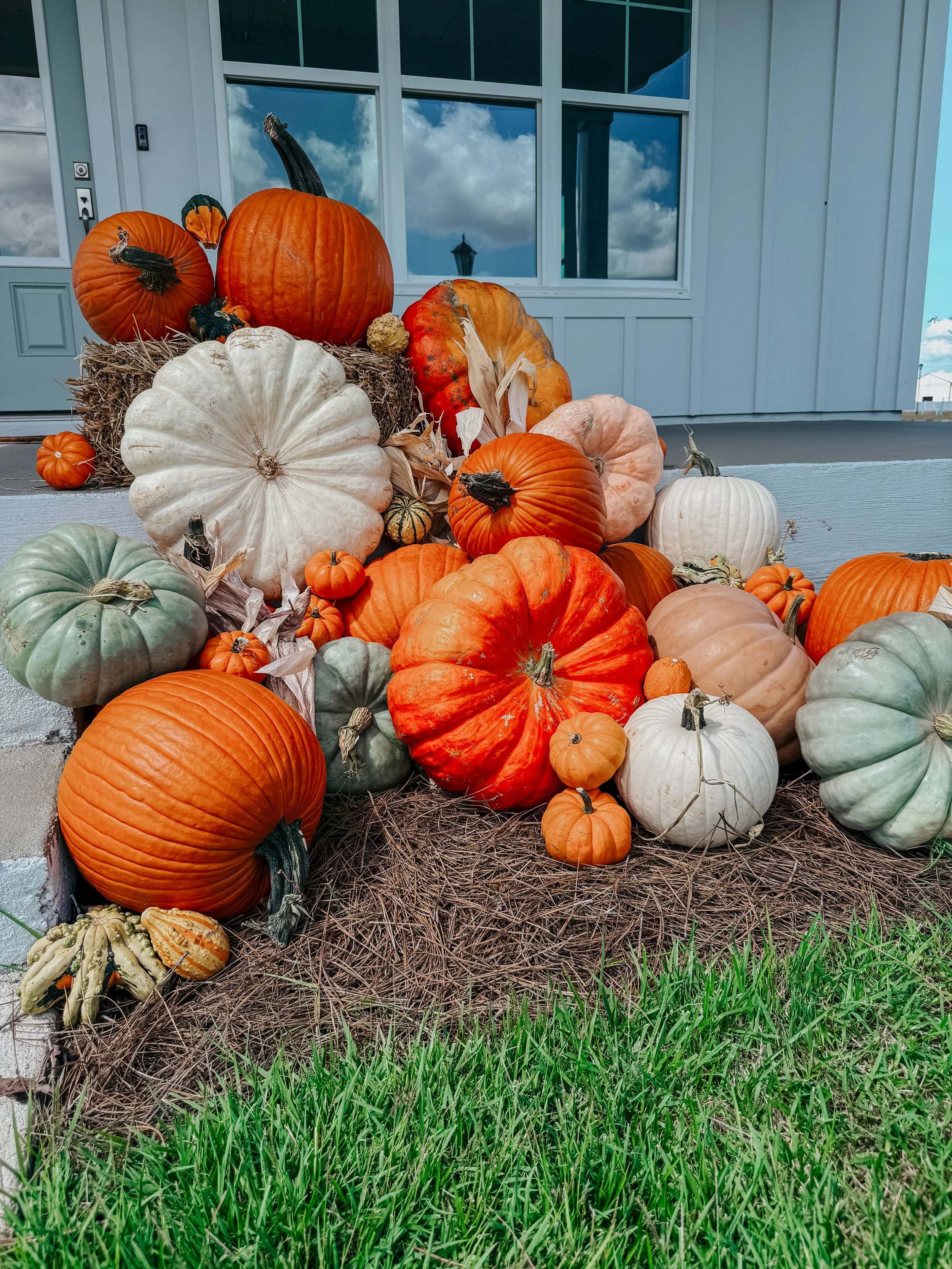 HPC Porch Pumpkins 2026 Season-04.jpg