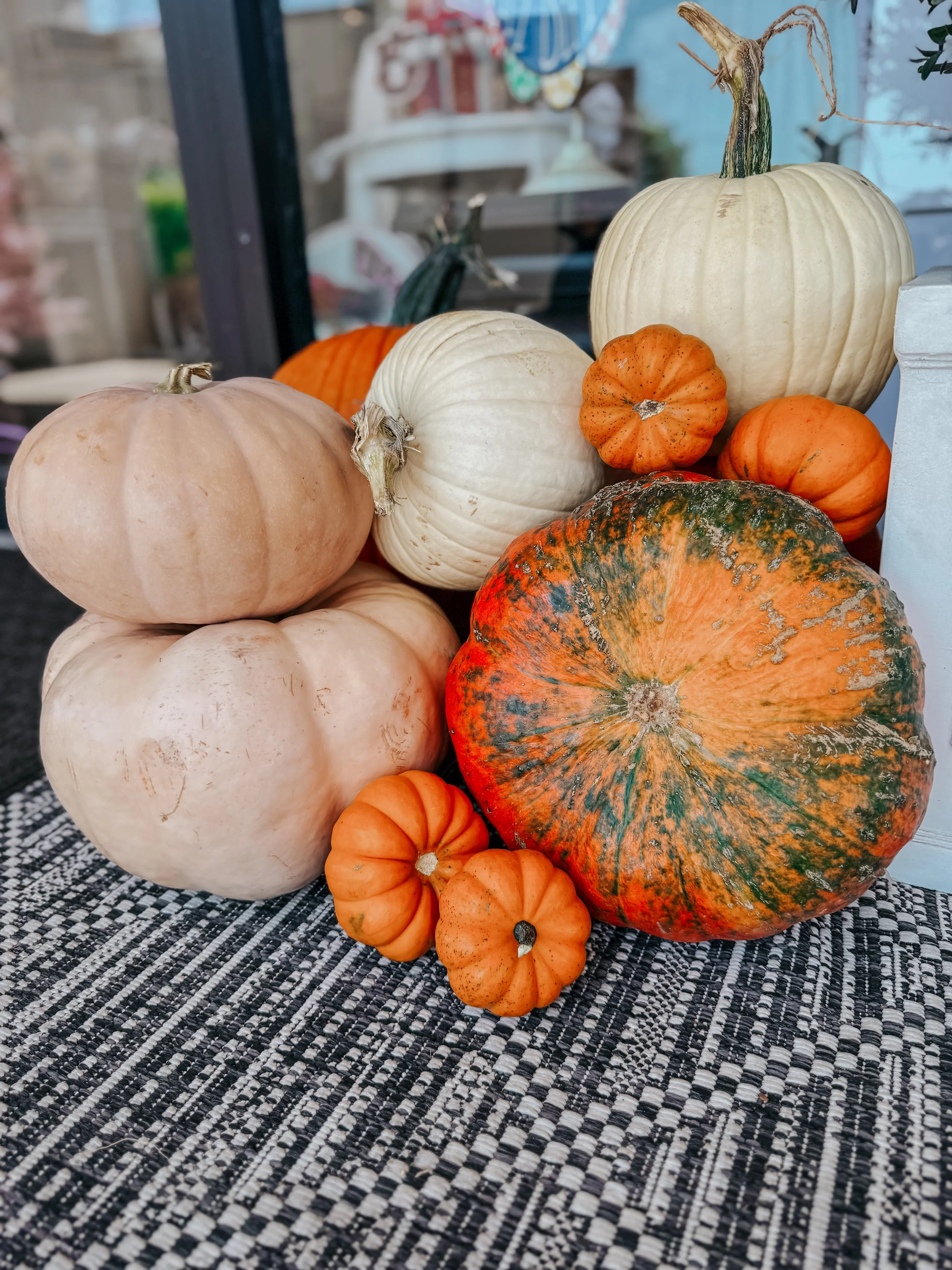 HPC Porch Pumpkins 2026 Season-12.jpg