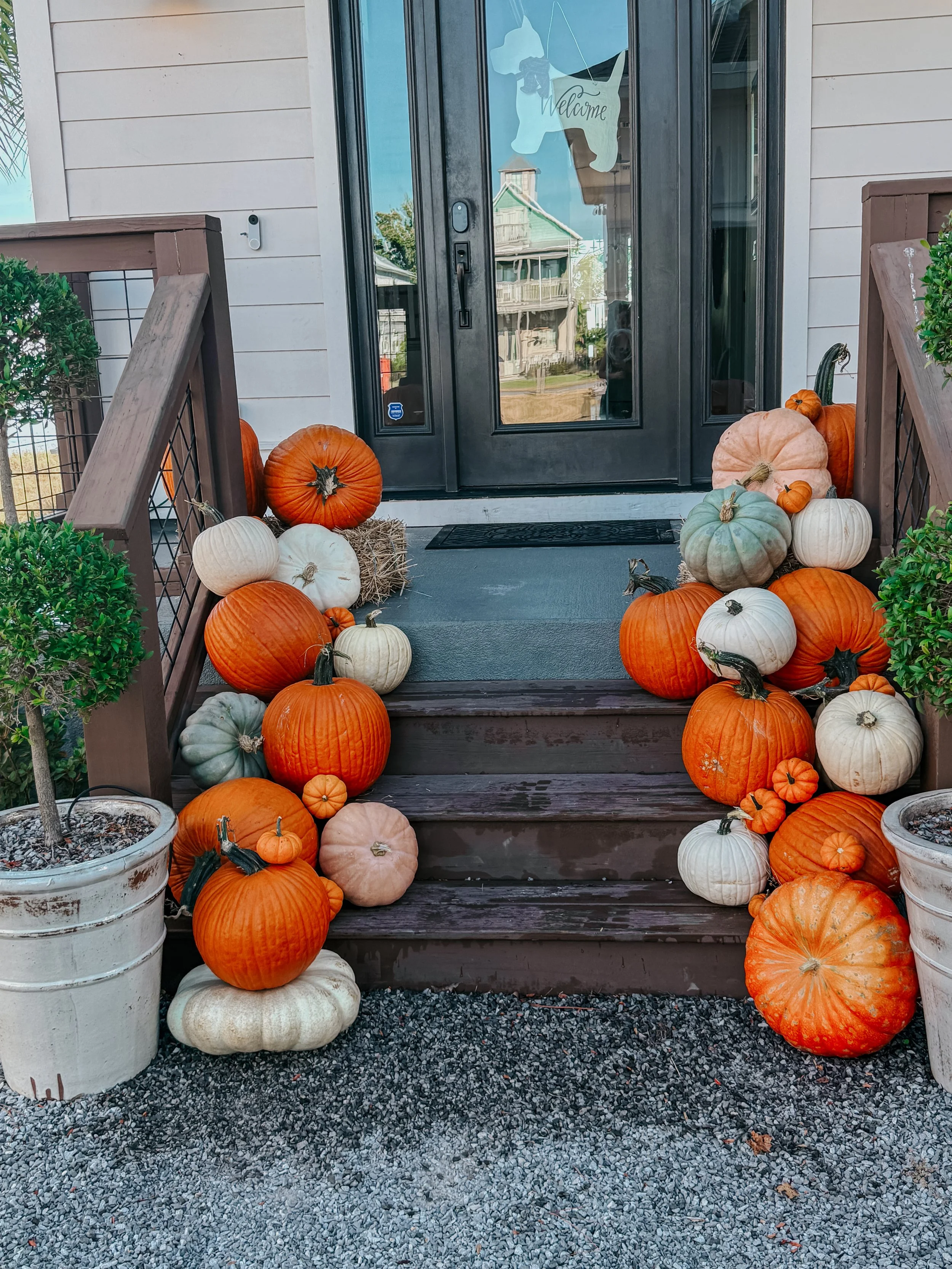 HPC Porch Pumpkins 2026 Season-14.jpg