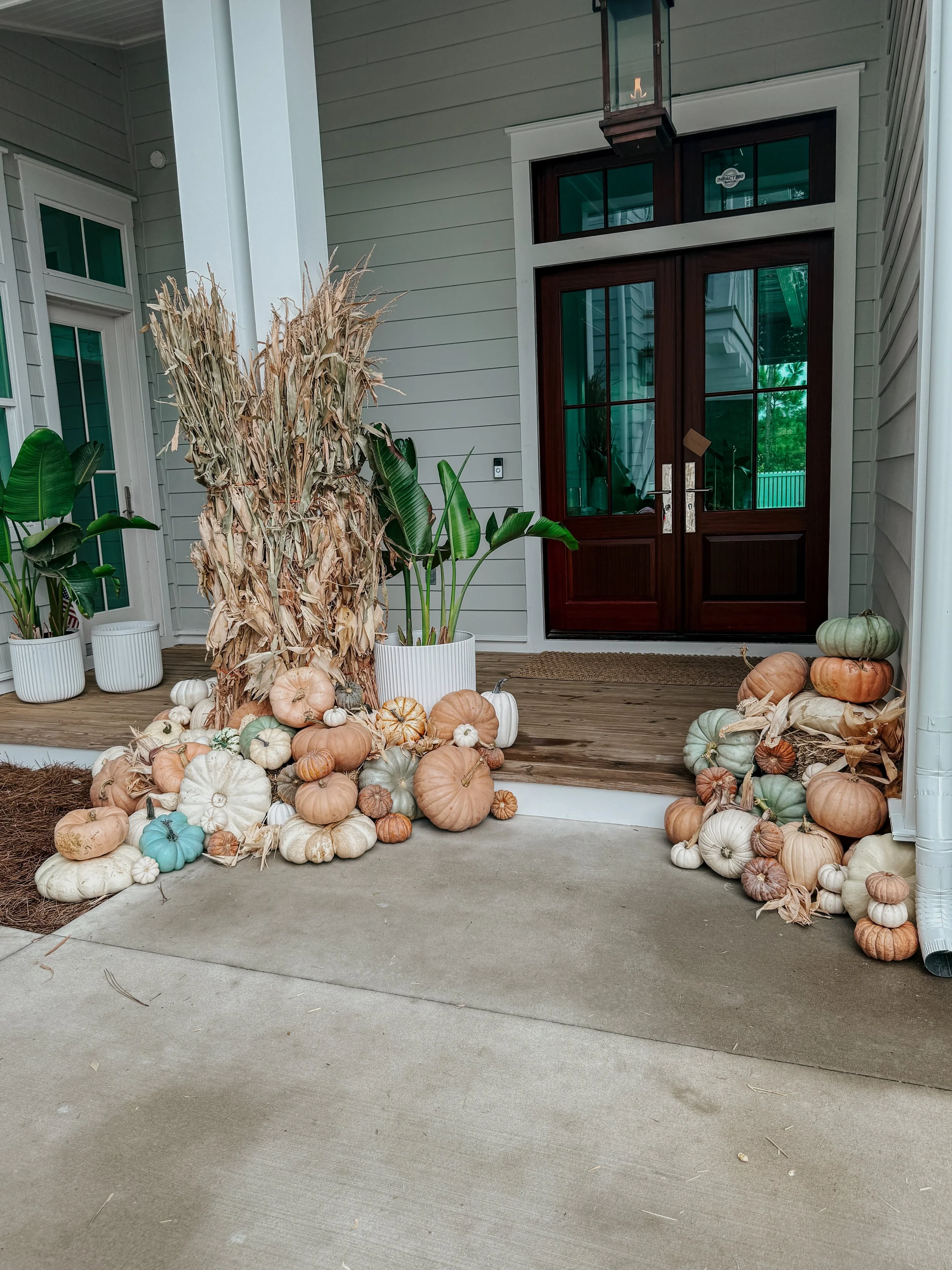 HPC Porch Pumpkins 2026 Season-45.jpg