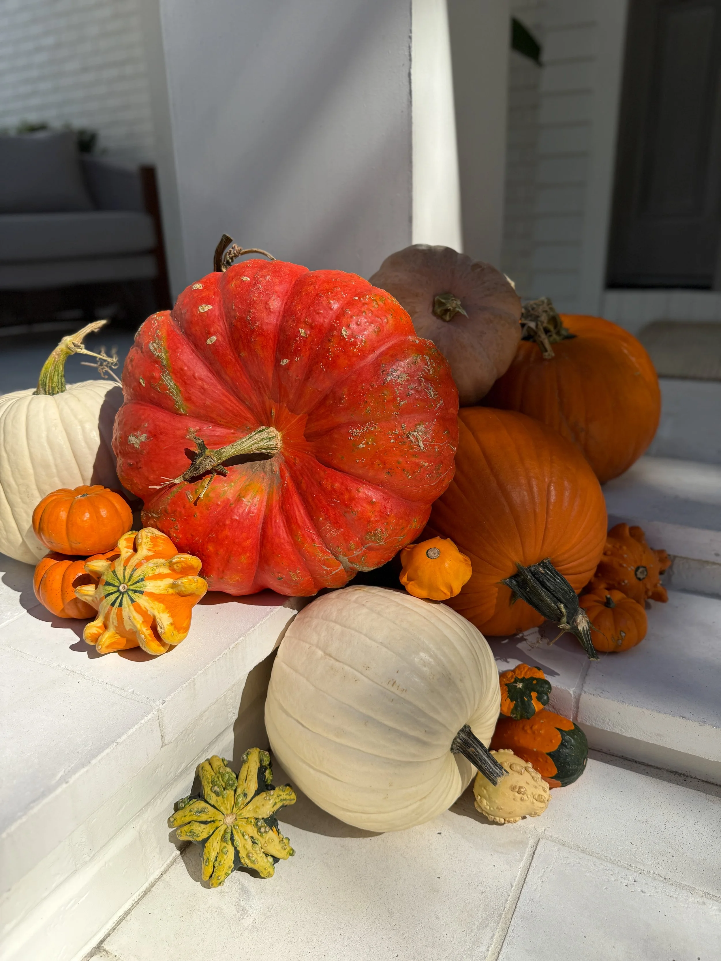 HPC Porch Pumpkins 2026 Season-61.jpg