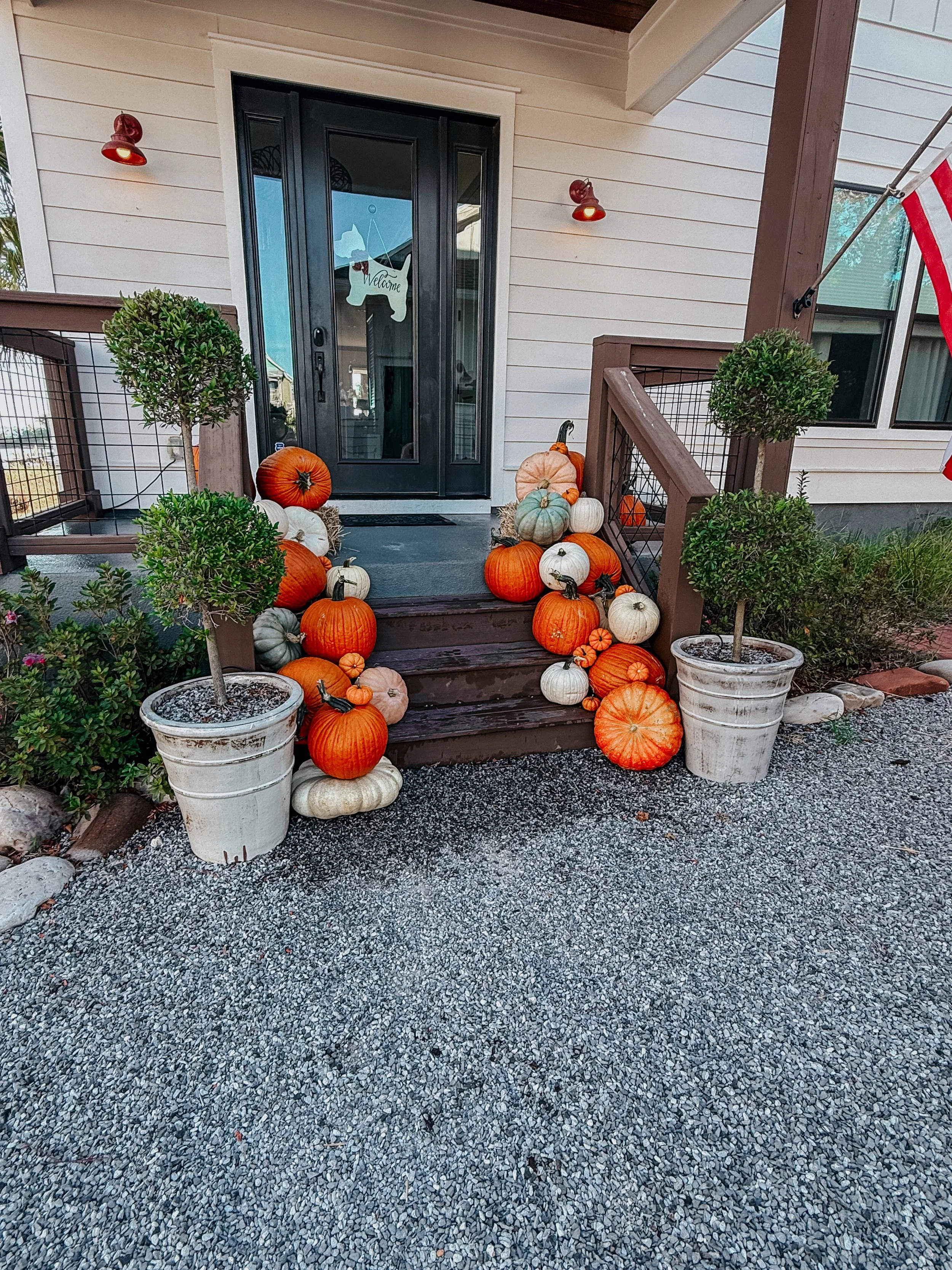 HPC Porch Pumpkins 2026 Season-17.jpg