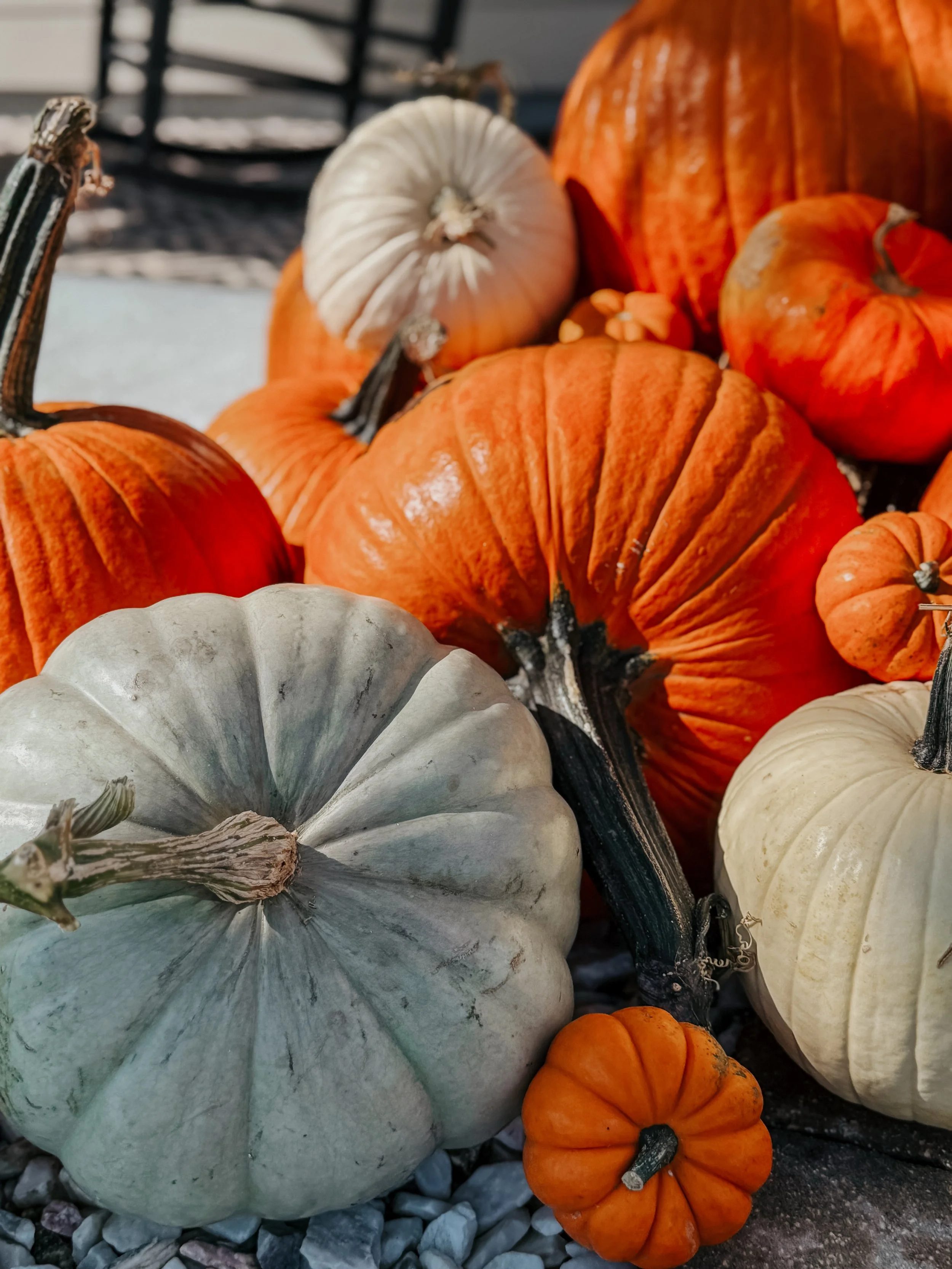 HPC Porch Pumpkins 2026 Season-22.jpg