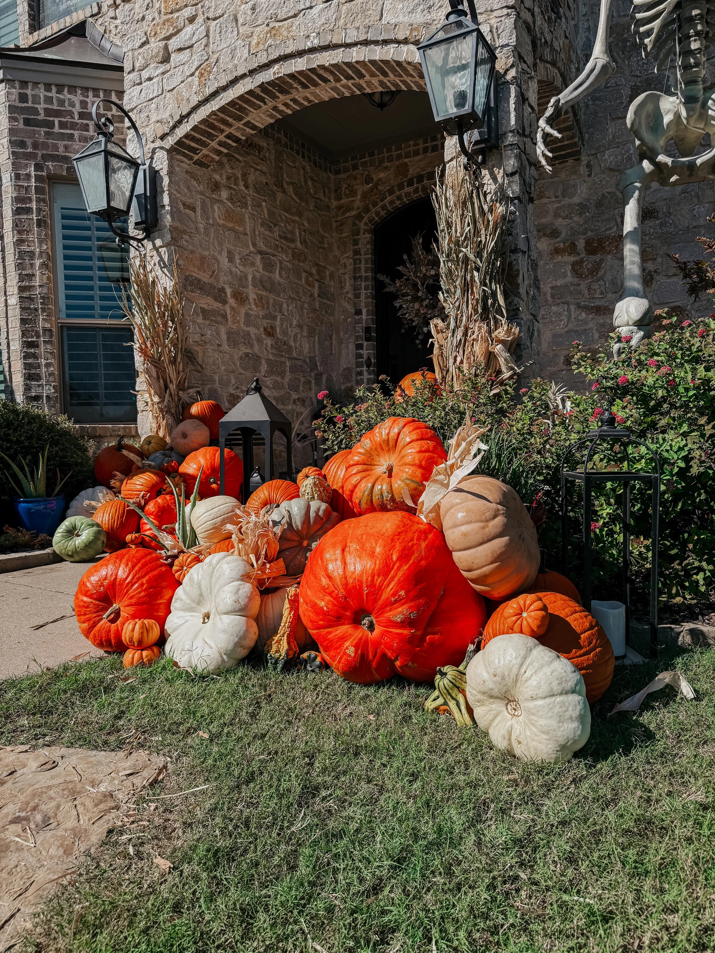 HPC Porch Pumpkins 2026 Season-102.jpg