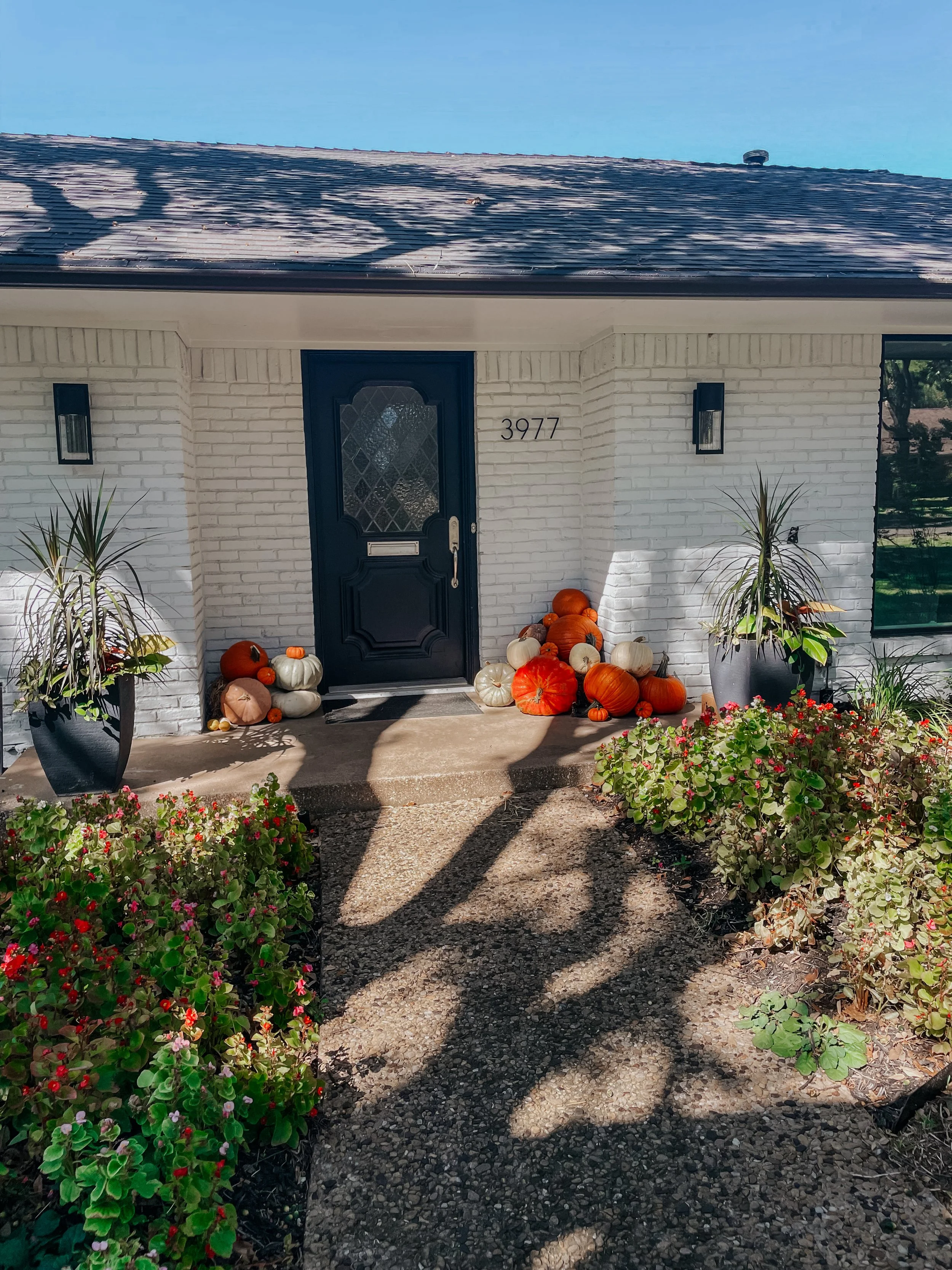 HPC Porch Pumpkins 2026 Season-107.jpg