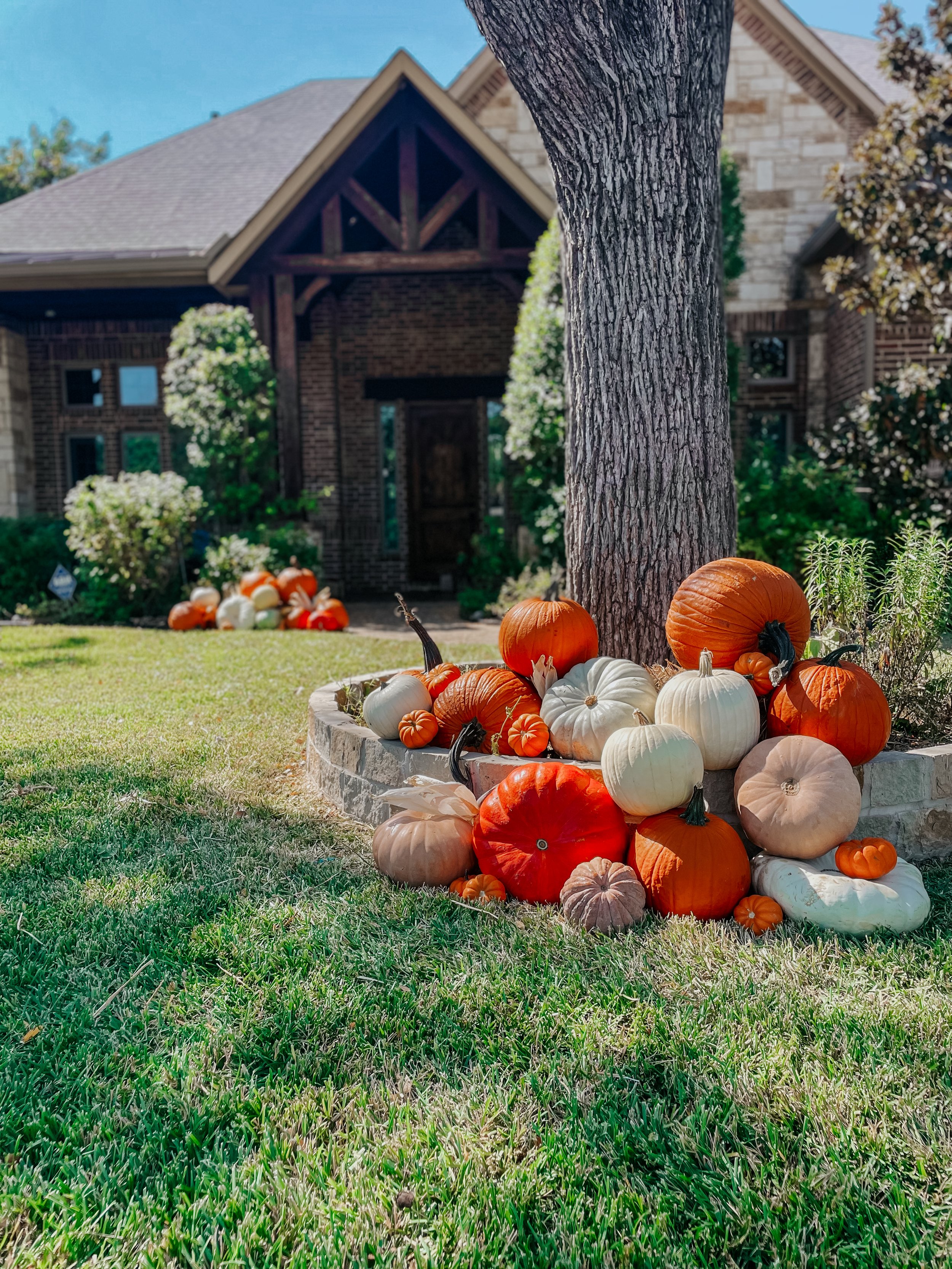 HPC Porch Pumpkins 2026 Season-106.jpg