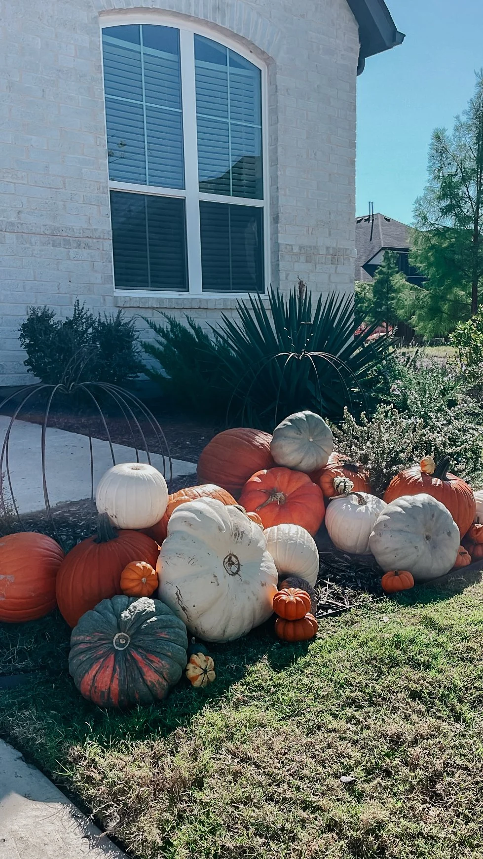HPC Porch Pumpkins 2026 Season-108.jpg