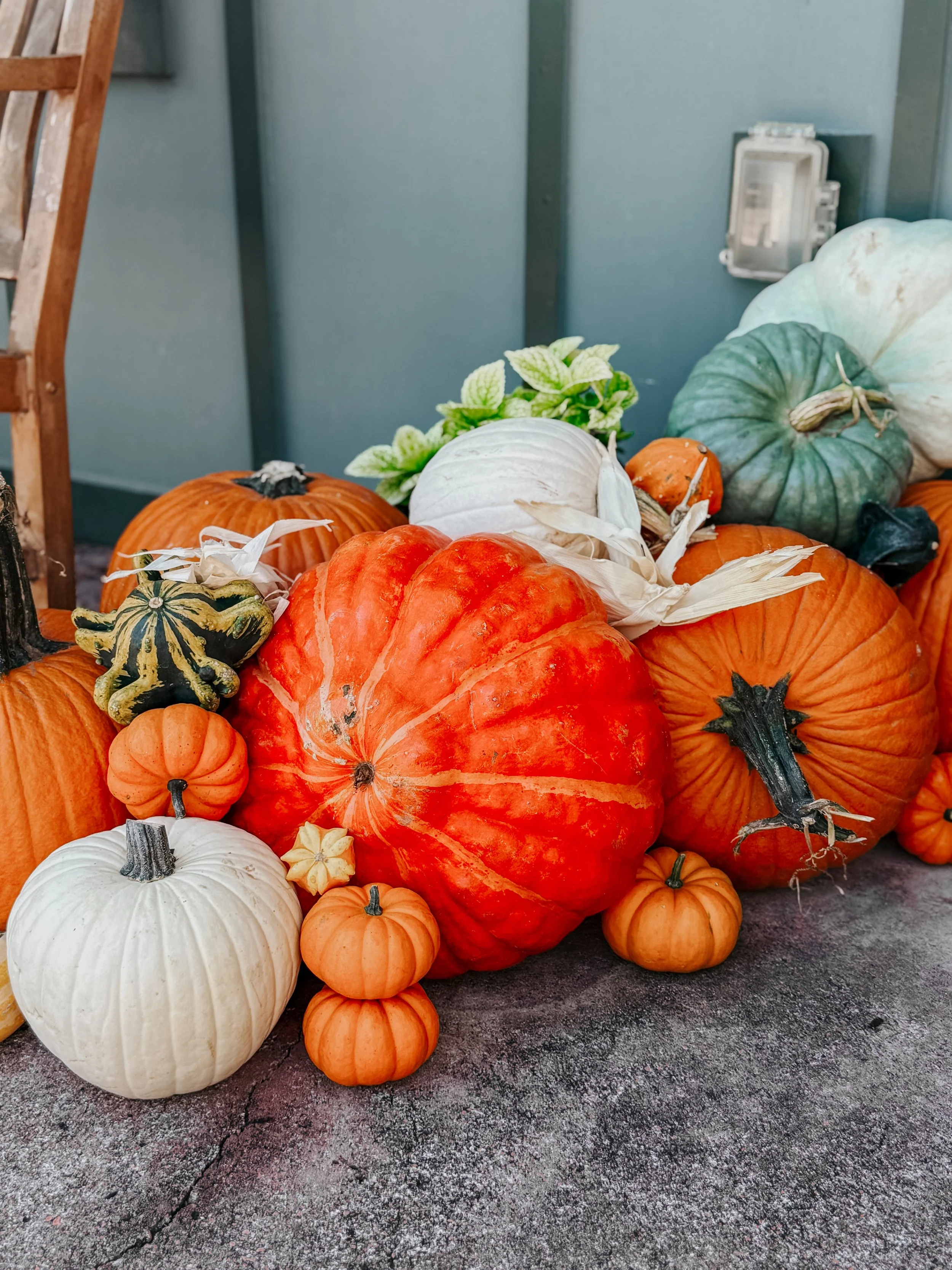 HPC Porch Pumpkins 2026 Season-33.jpg