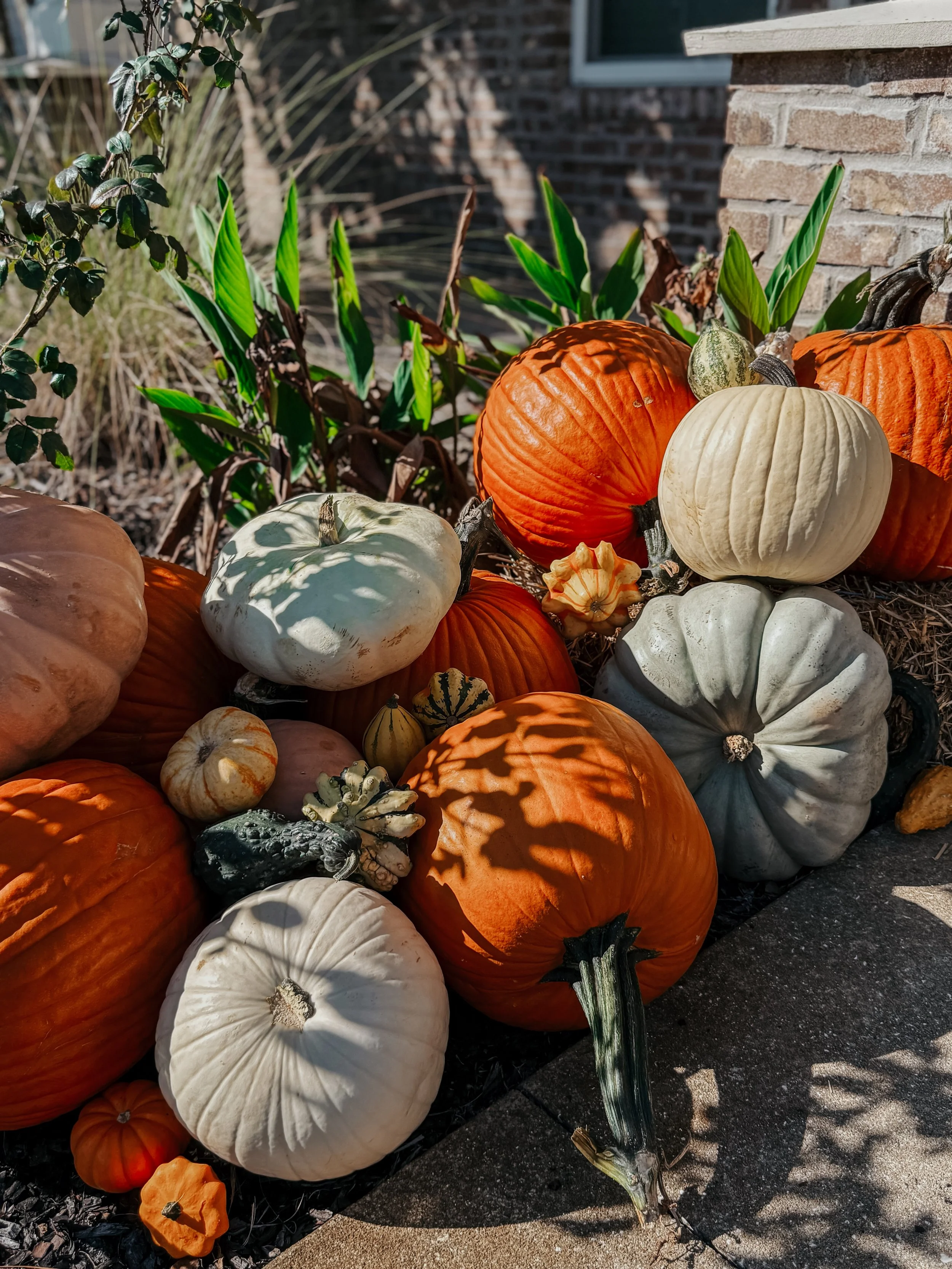 HPC Porch Pumpkins 2026 Season-19.jpg