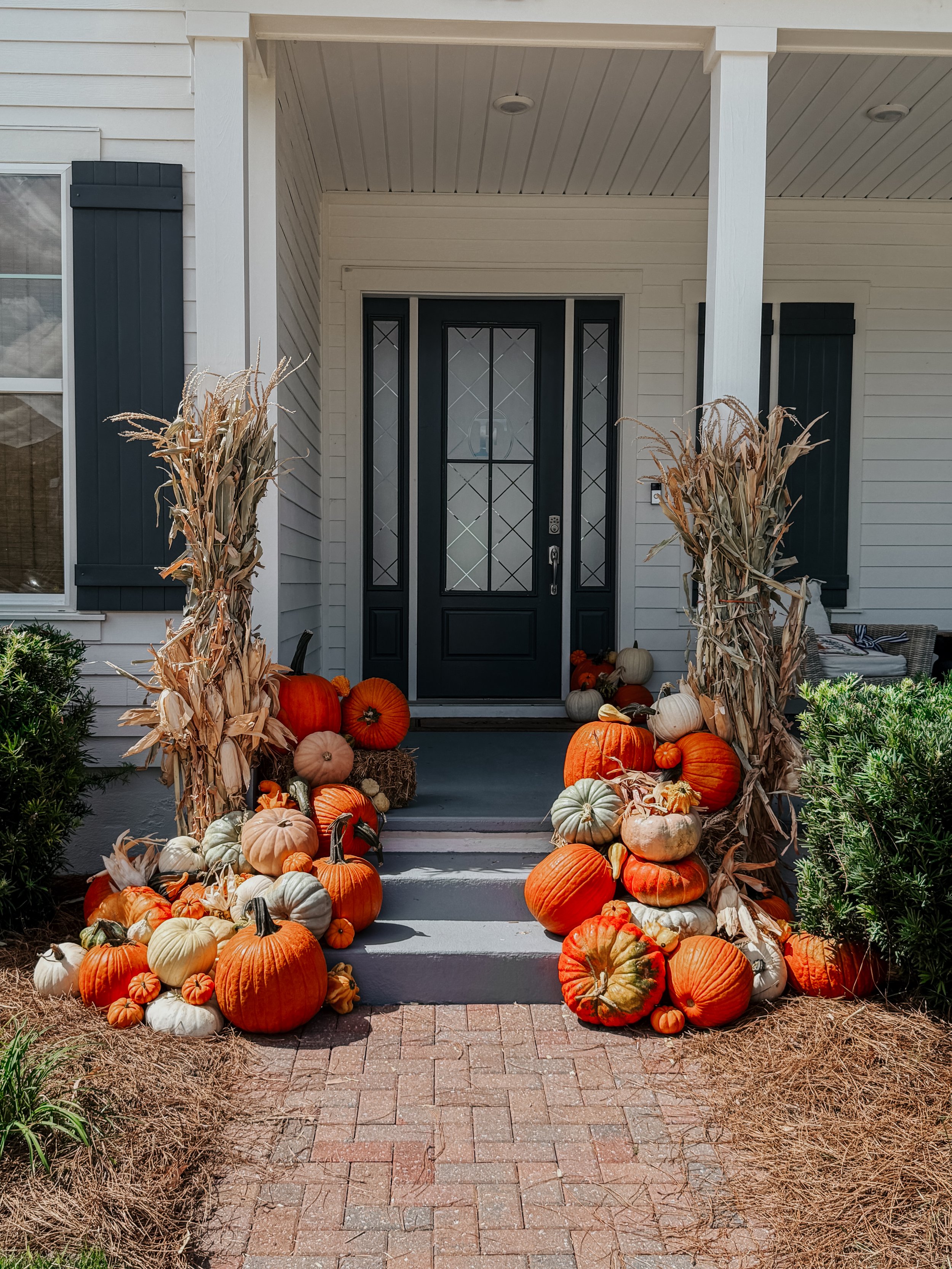 HPC Porch Pumpkins 2026 Season-01.jpg