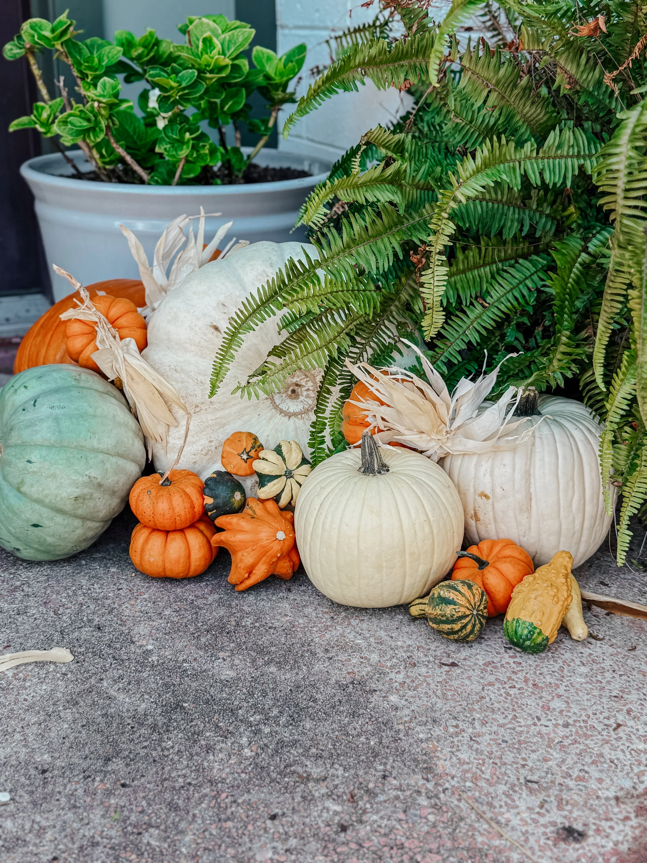 HPC Porch Pumpkins 2026 Season-32.jpg