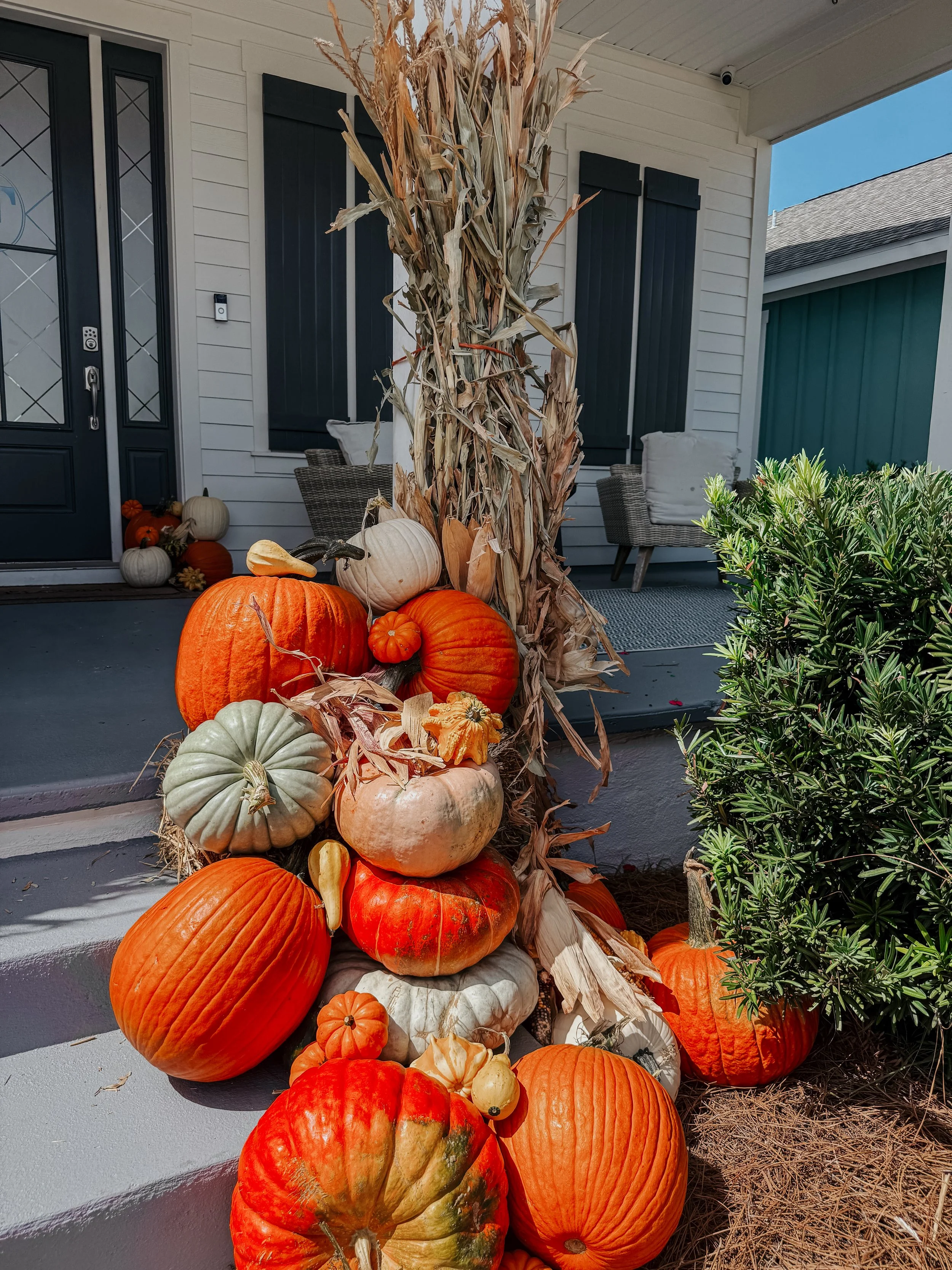 HPC Porch Pumpkins 2026 Season-03.jpg